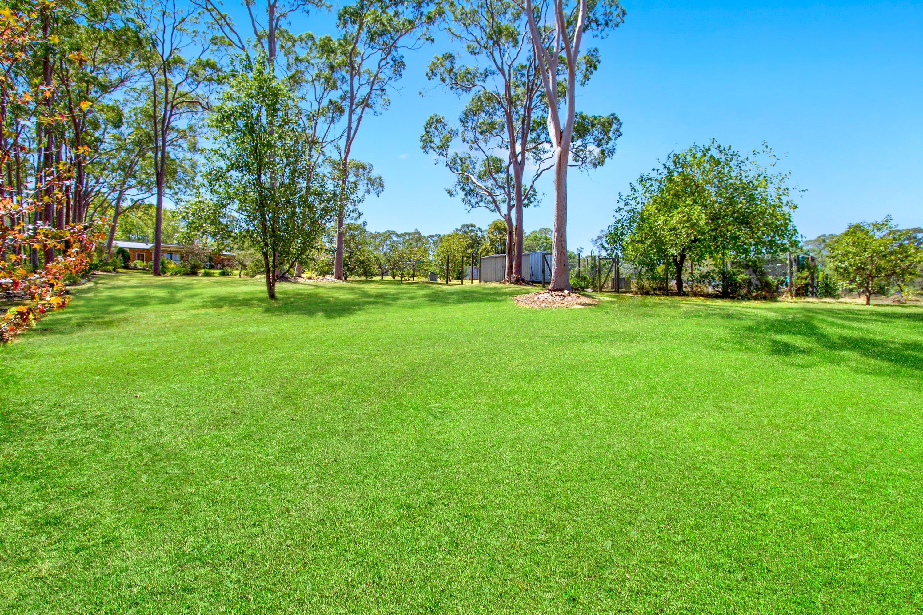 198 Blaxlands Ridge Road, Blaxlands Ridge - Thumbnail 3