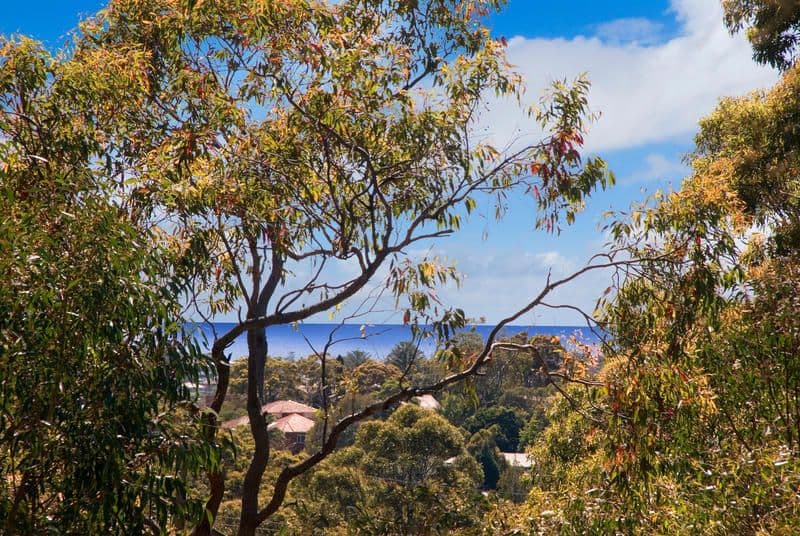 4 Allawah Avenue, ELANORA HEIGHTS NSW 2101, Elanora Heights - Thumbnail 2
