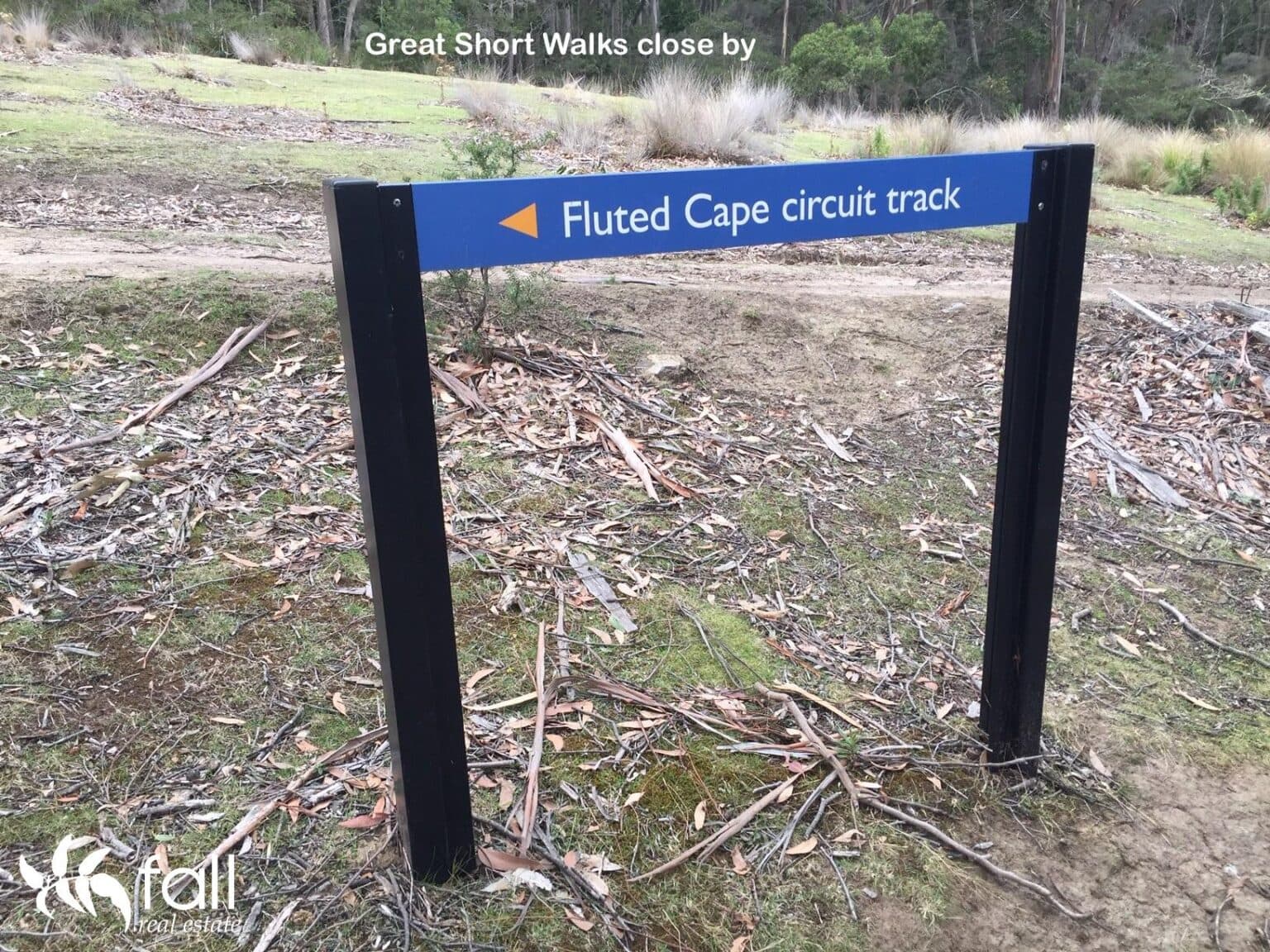 11 &15 Sawdust Road, ADVENTURE BAY TAS 7150, Adventure Bay - Thumbnail 3