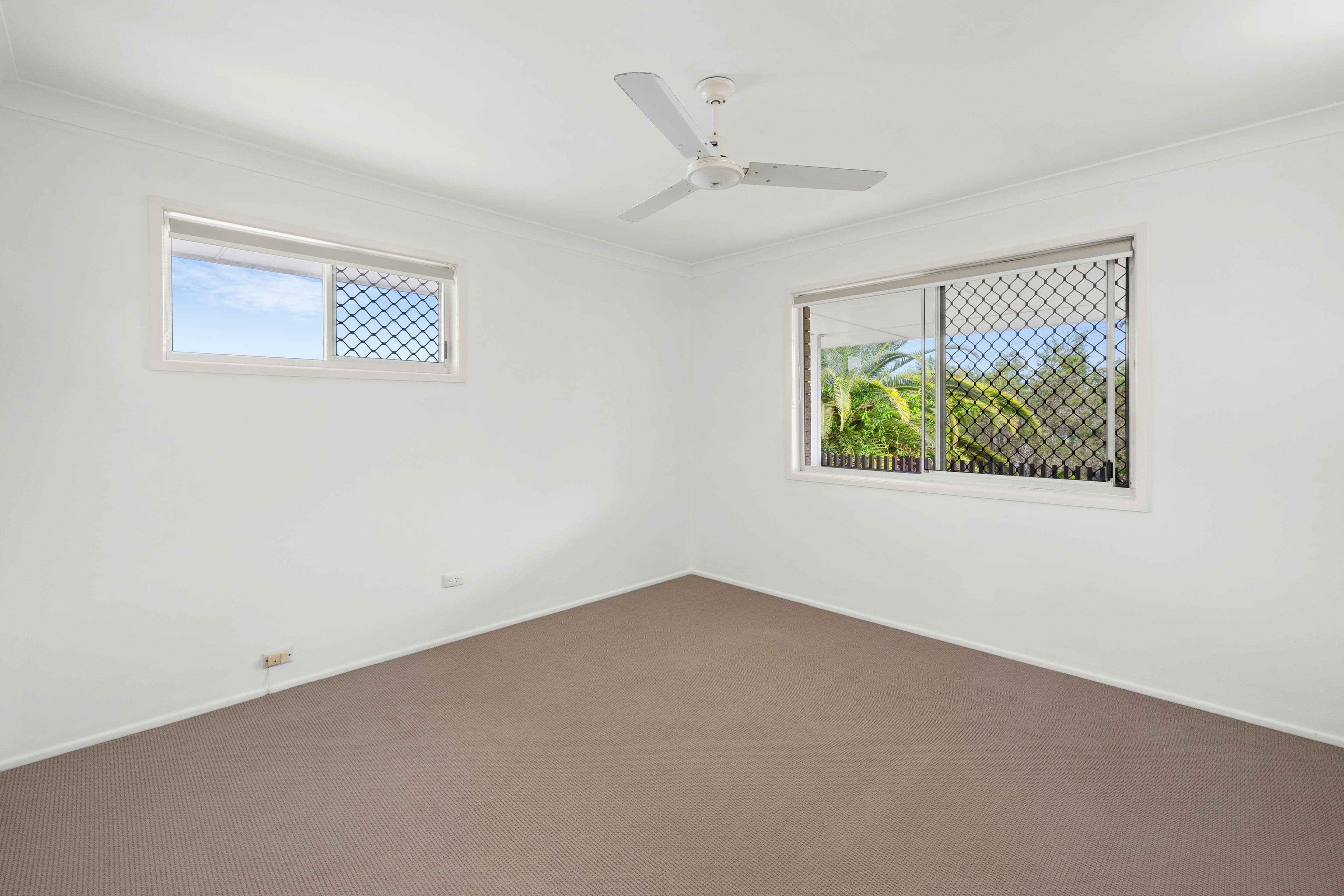 13 Tasol Street, Bli Bli QLD 4560, Bli Bli - Thumbnail 7