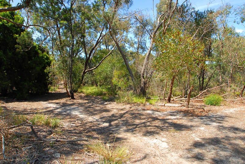 54 Lorraine Avenue, LANGWARRIN VIC 3910, Langwarrin - Thumbnail 8