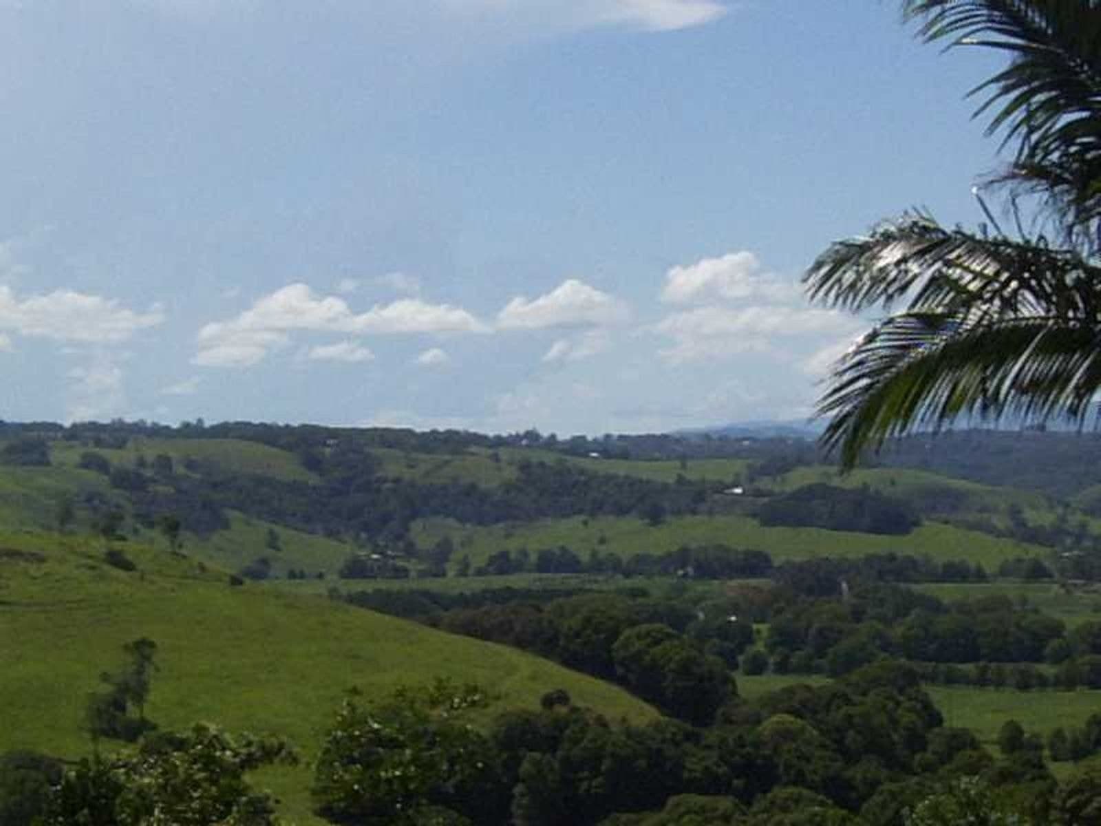 1324 Bangalow Road, Clunes - Thumbnail 5