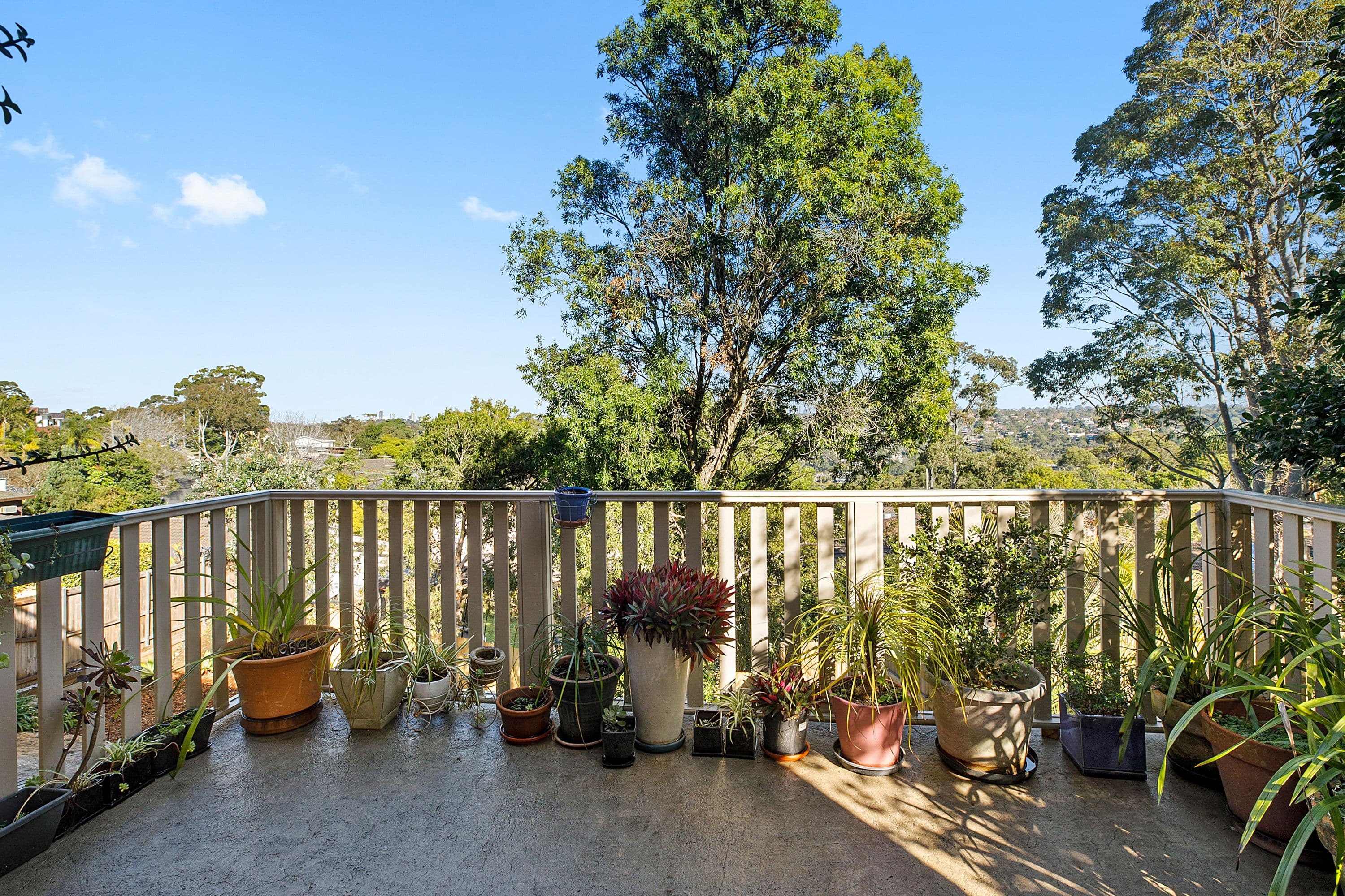 142 Melwood Avenue, Killarney Heights NSW 2087, Killarney Heights - Thumbnail 6