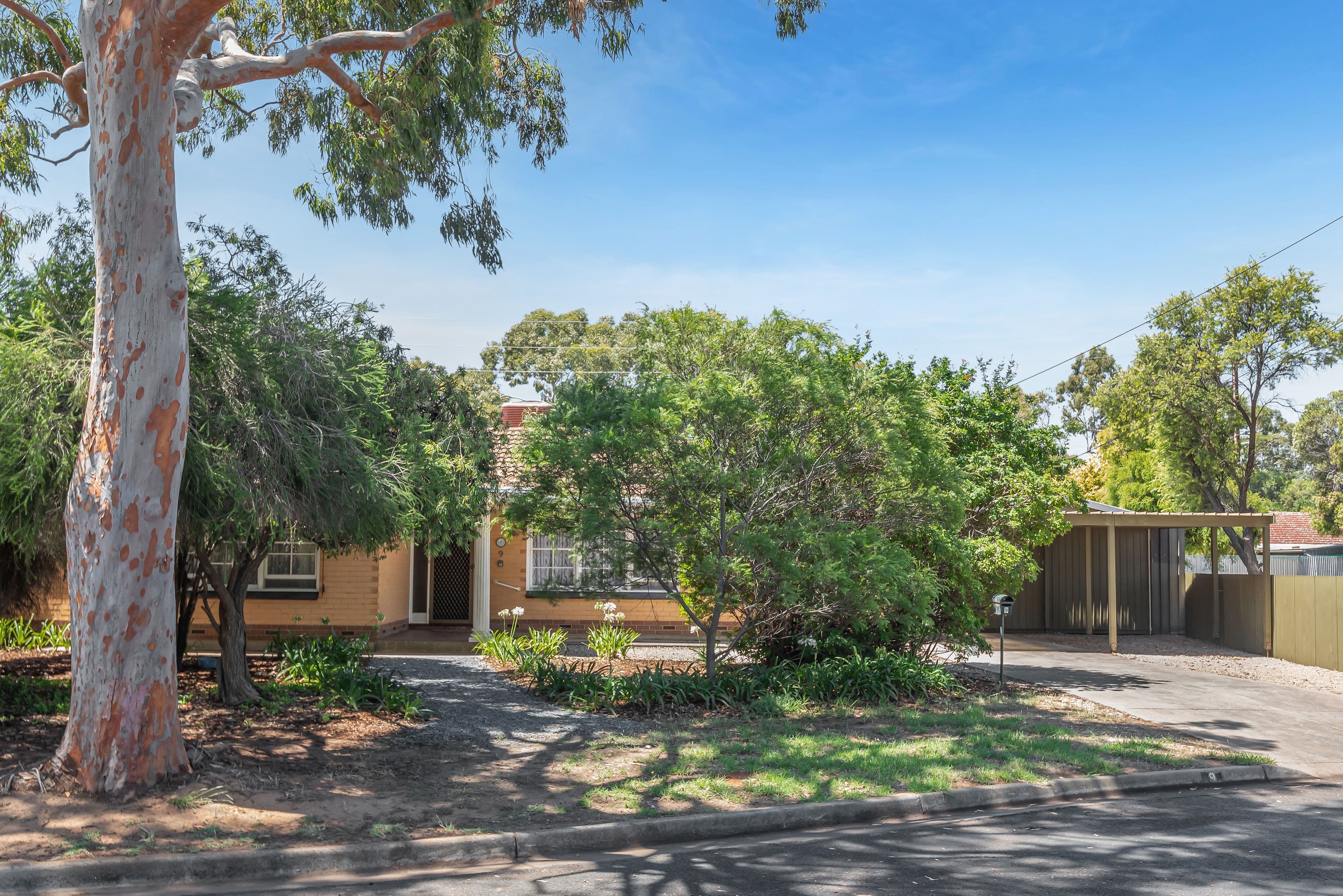 9 Walnut Avenue, Parafield Gardens SA 5107, Parafield Gardens - Image 1