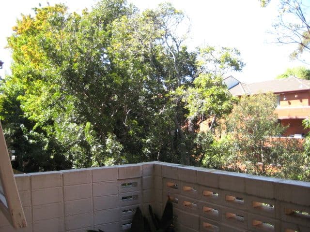 42  Avoca Street, RANDWICK NSW 2031, Randwick - Thumbnail 3