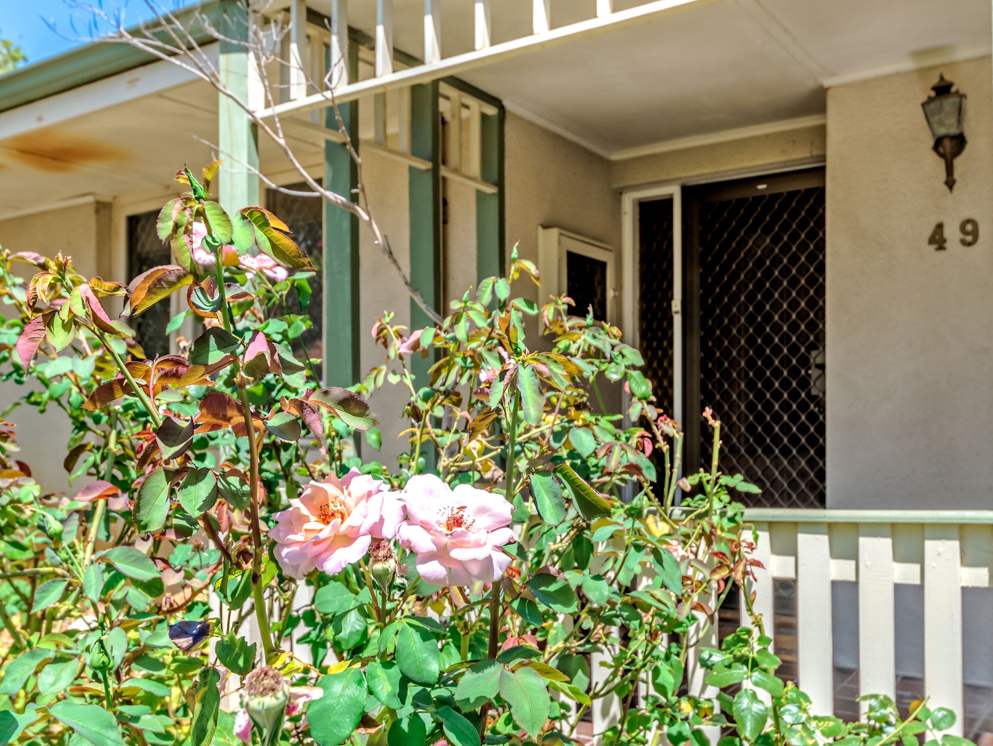 49 Axford Street, Como WA 6152, Como - Thumbnail 5