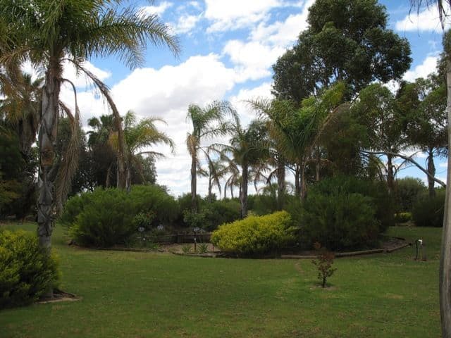 Lot 5  Pike Creek Road, LYRUP SA 5343, Lyrup - Thumbnail 8