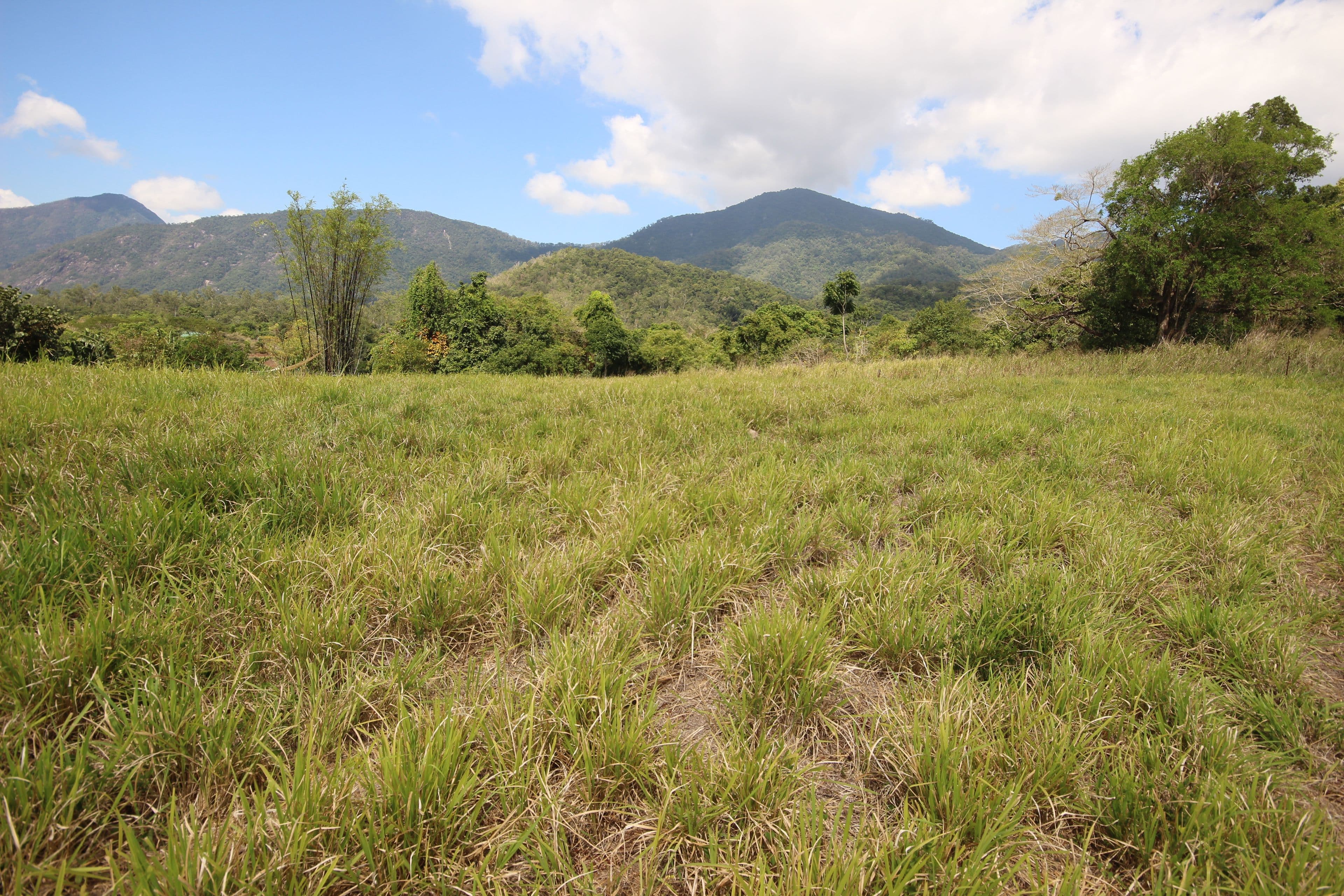 49-51 Costain Street, Goldsborough QLD 4865, Goldsborough - Thumbnail 2