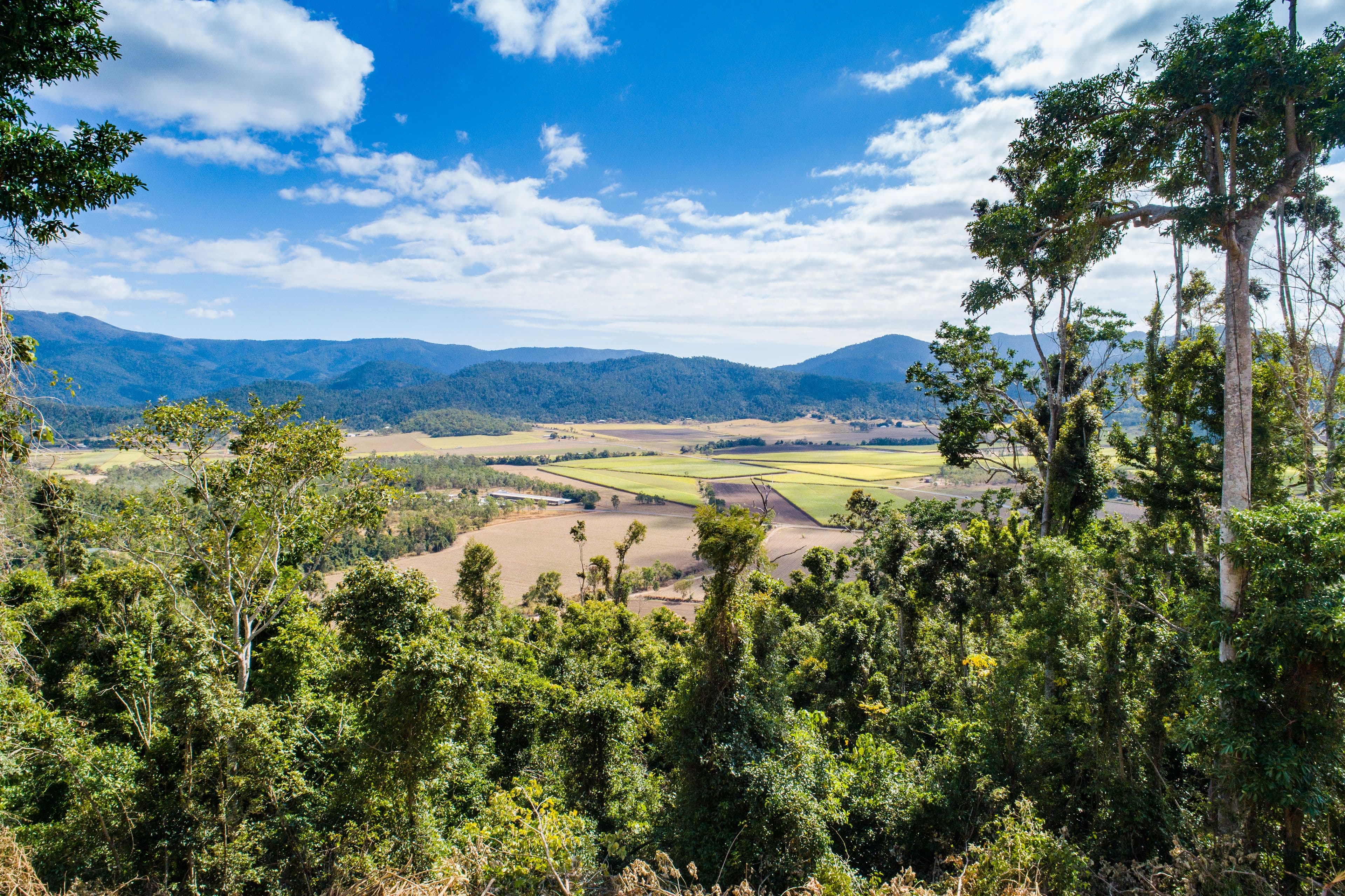 Lot 166 Staniland Drive, Strathdickie QLD 4800, Strathdickie - Thumbnail 2