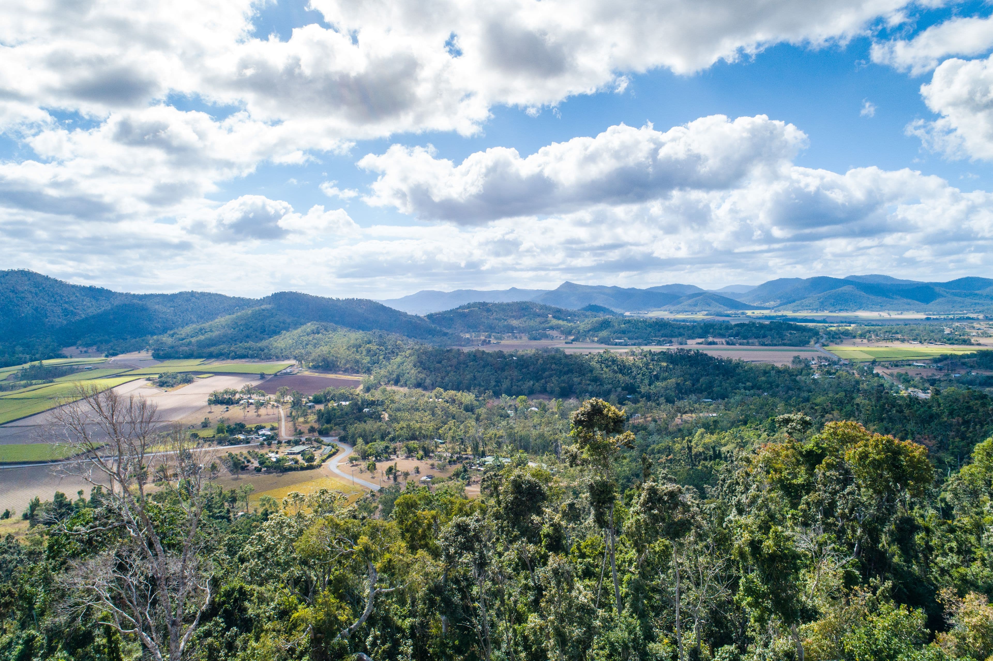 Lot 166 Staniland Drive, Strathdickie QLD 4800, Strathdickie - Thumbnail 3