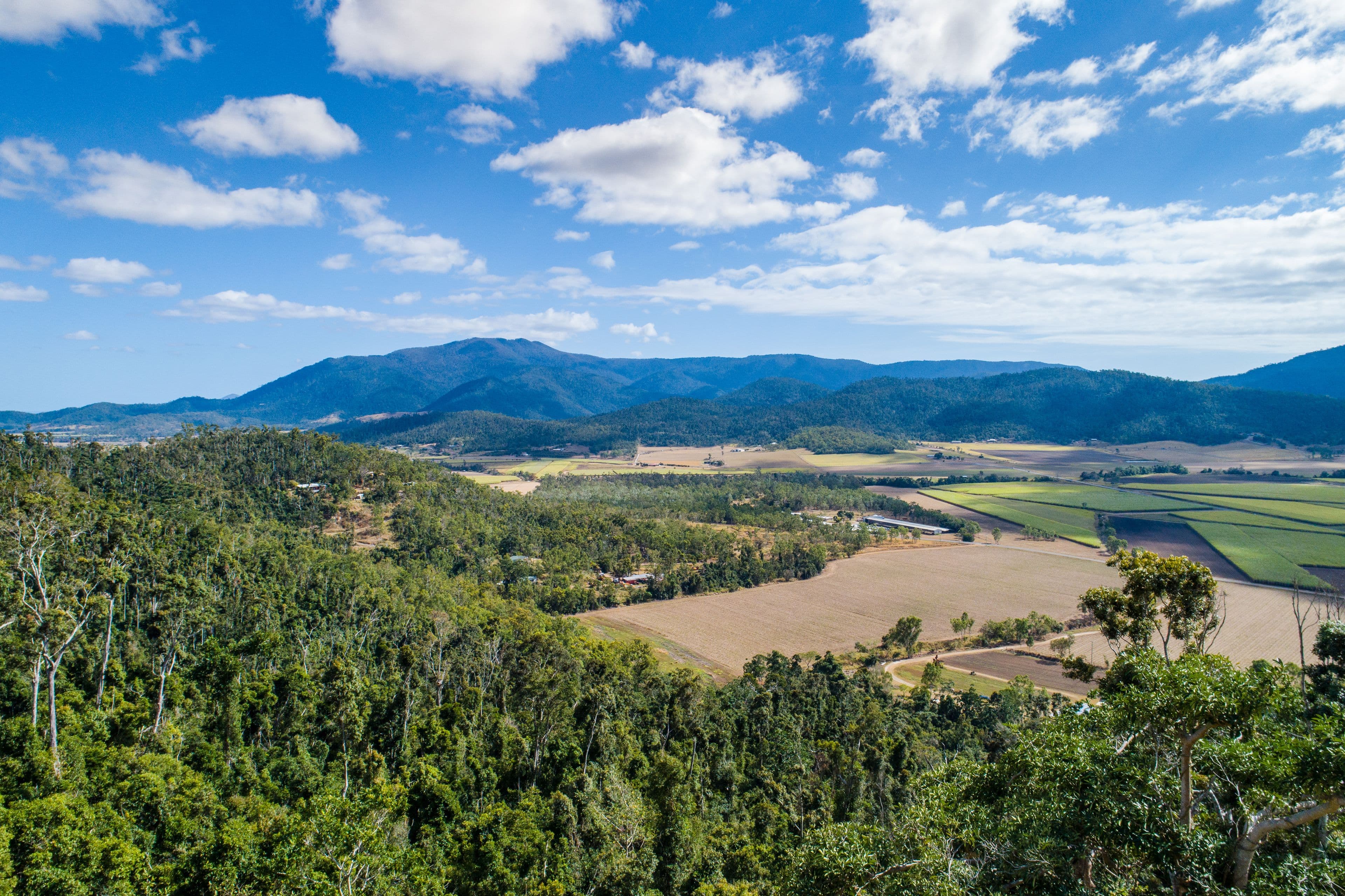 Lot 166 Staniland Drive, Strathdickie QLD 4800, Strathdickie - Thumbnail 6