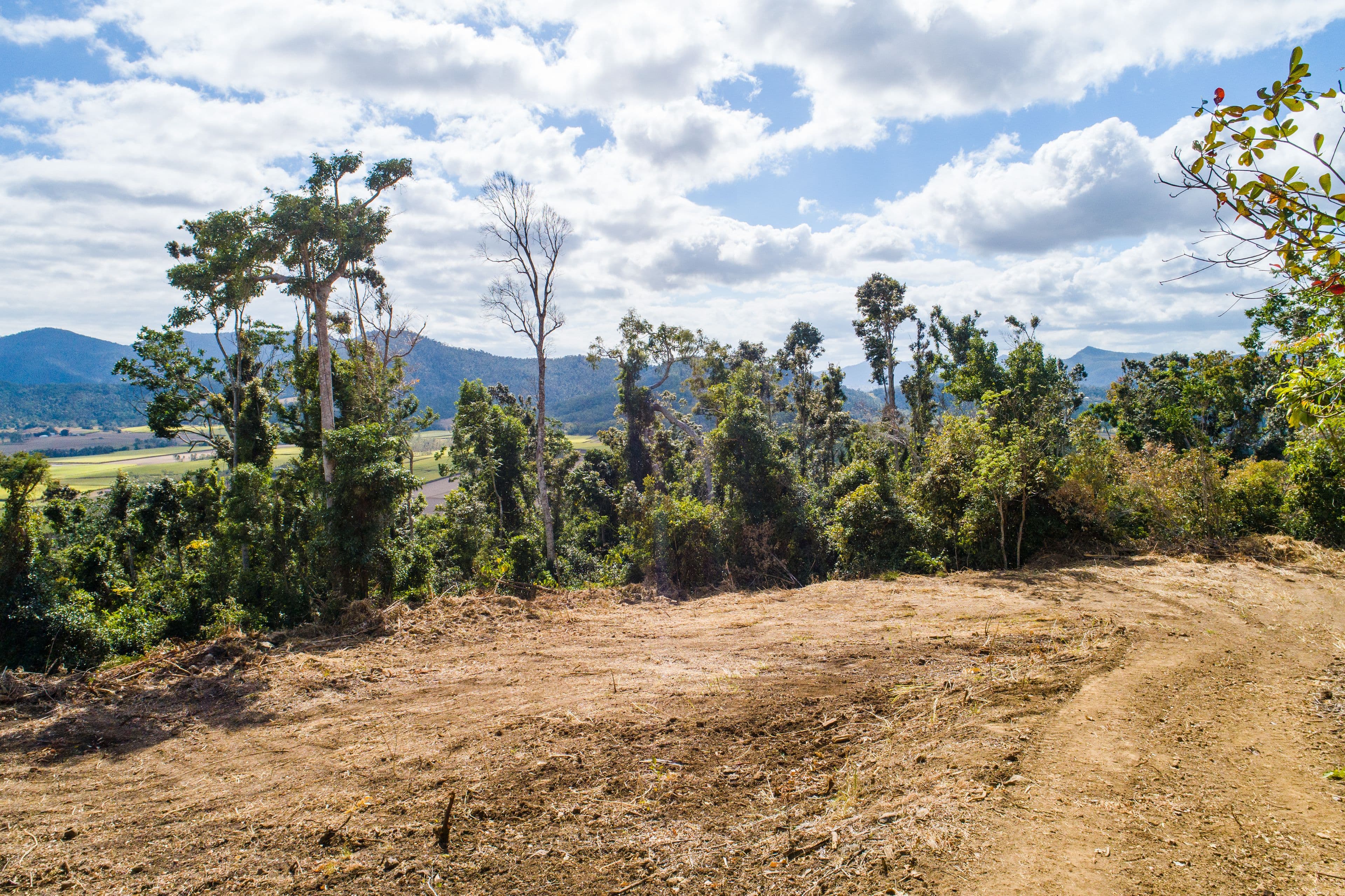 Lot 166 Staniland Drive, Strathdickie QLD 4800, Strathdickie - Thumbnail 8