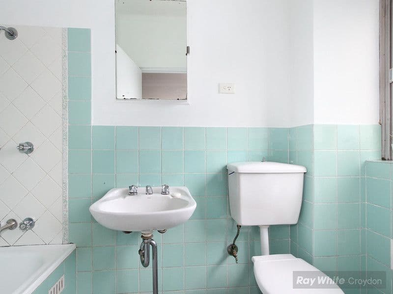 182 Elizabeth Street, CROYDON NSW 2132, Croydon - Thumbnail 6