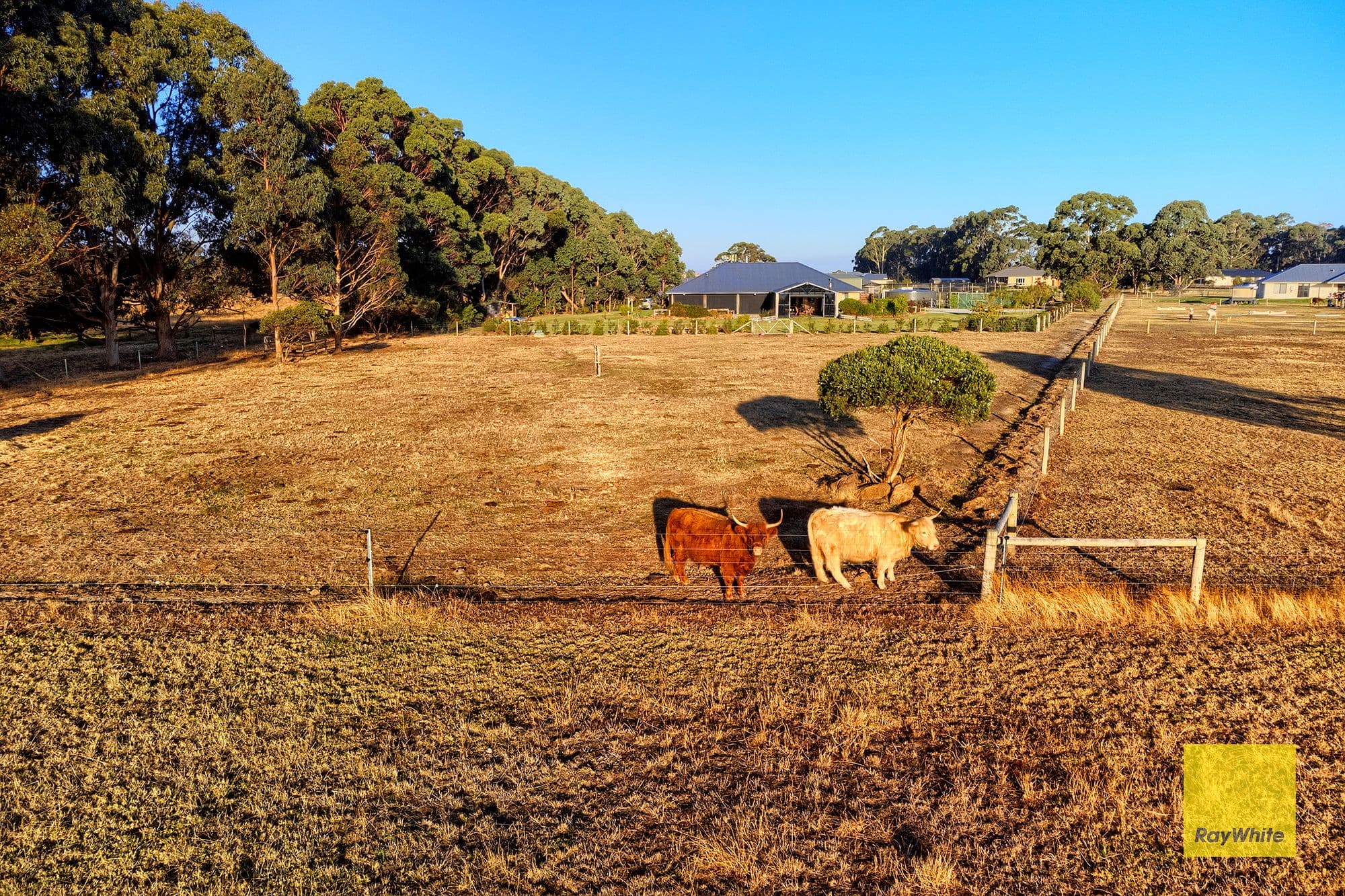 42 Ajana Drive, Marbelup WA 6330, Marbelup - Thumbnail 2