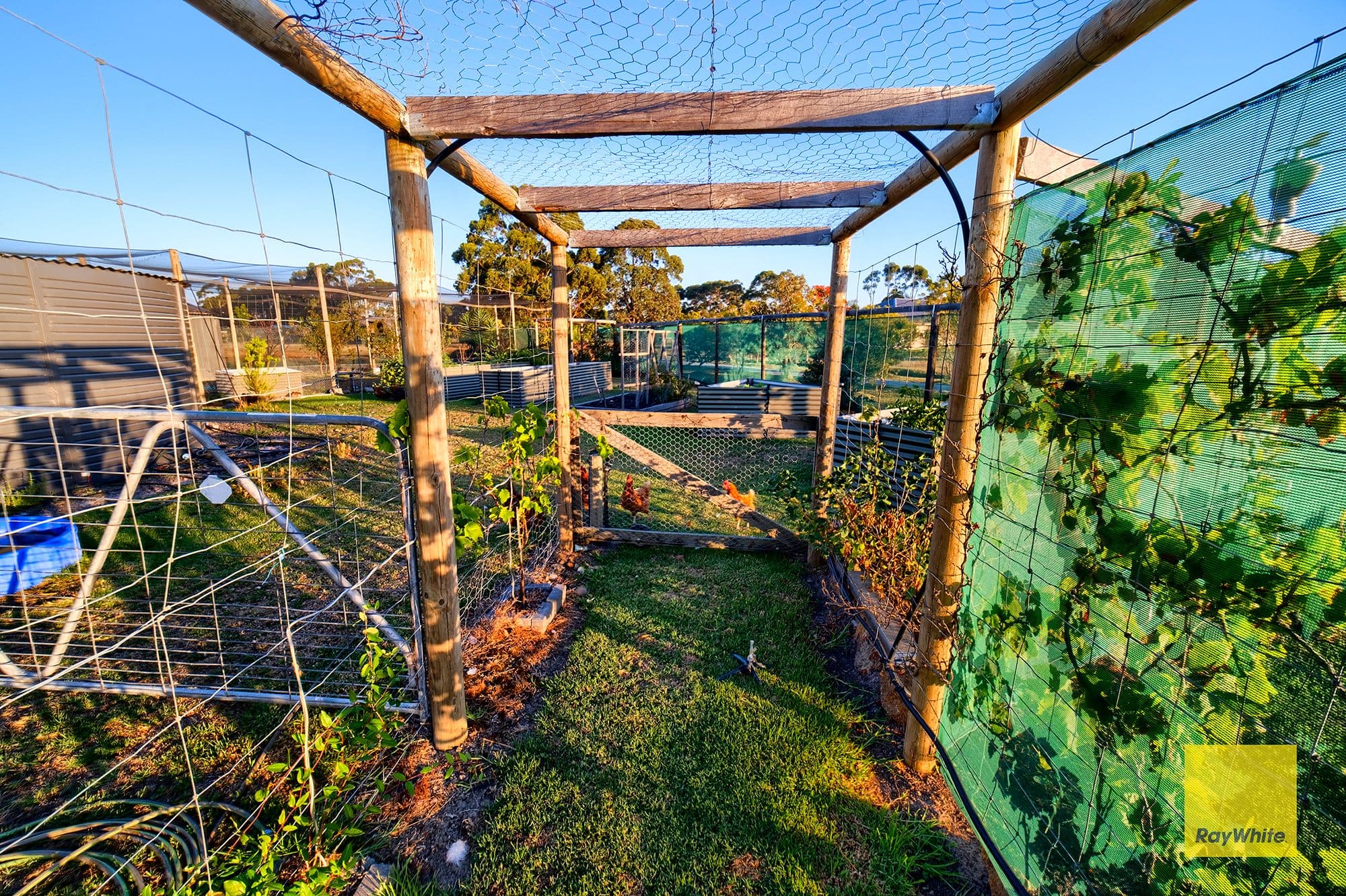 42 Ajana Drive, Marbelup WA 6330, Marbelup - Thumbnail 7