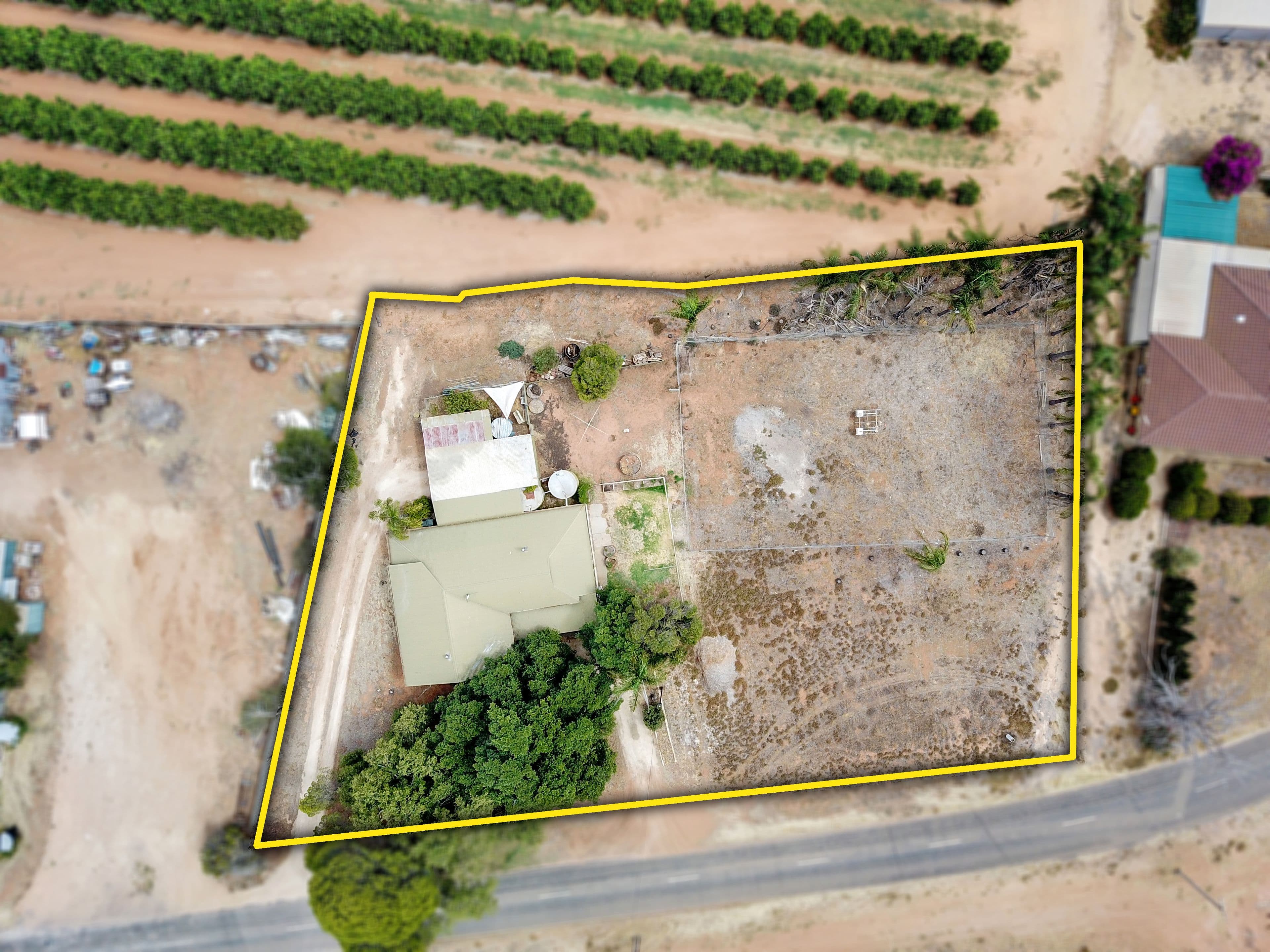 2 Hooking Avenue, Royston Park SA 5070, Royston Park - Thumbnail 2