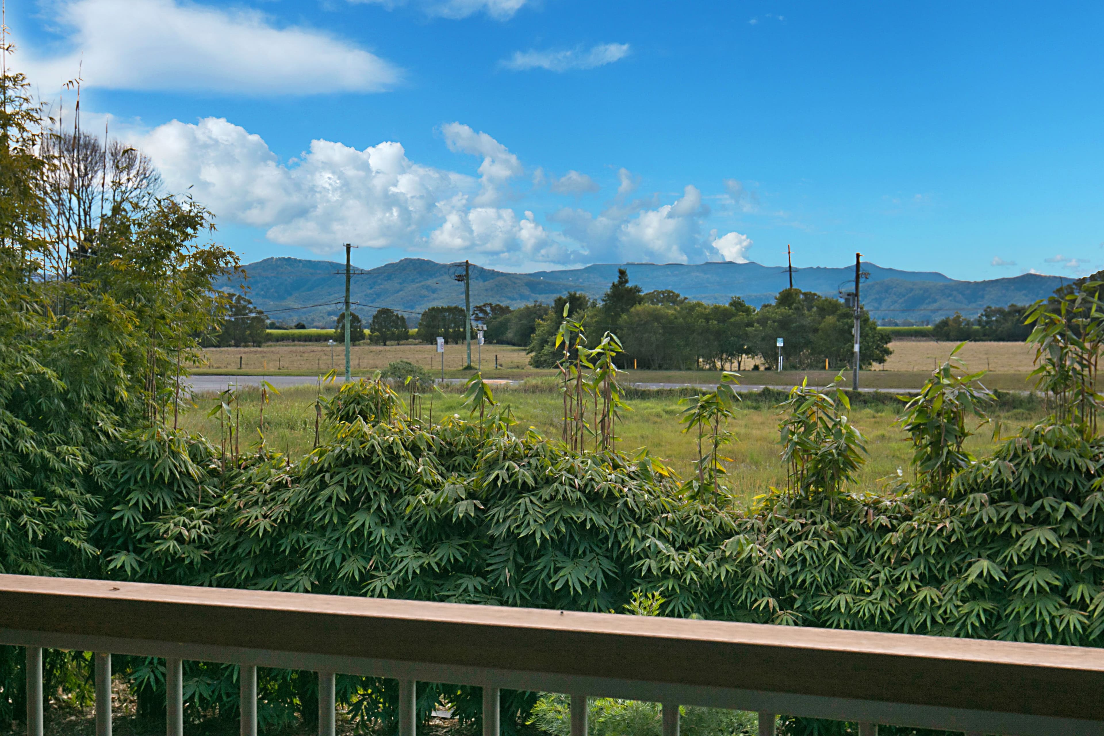5 Martin Street, Murwillumbah NSW 2484, Murwillumbah - Thumbnail 2