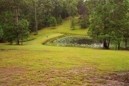 80 Hawk Road, POMONA QLD 4568, Pomona - Thumbnail 7