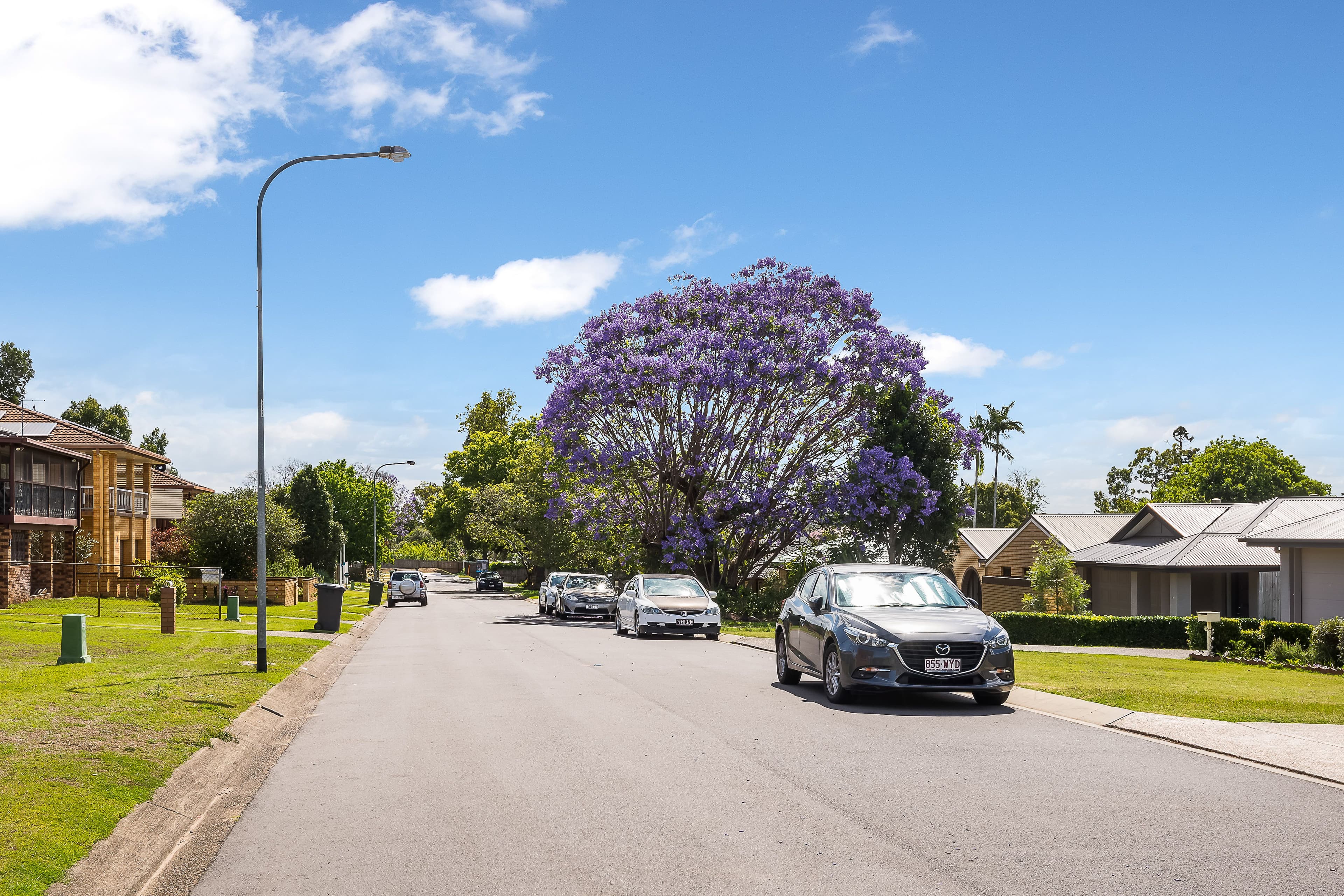 20 Delm Street, Durack QLD 4077, Durack - Thumbnail 4