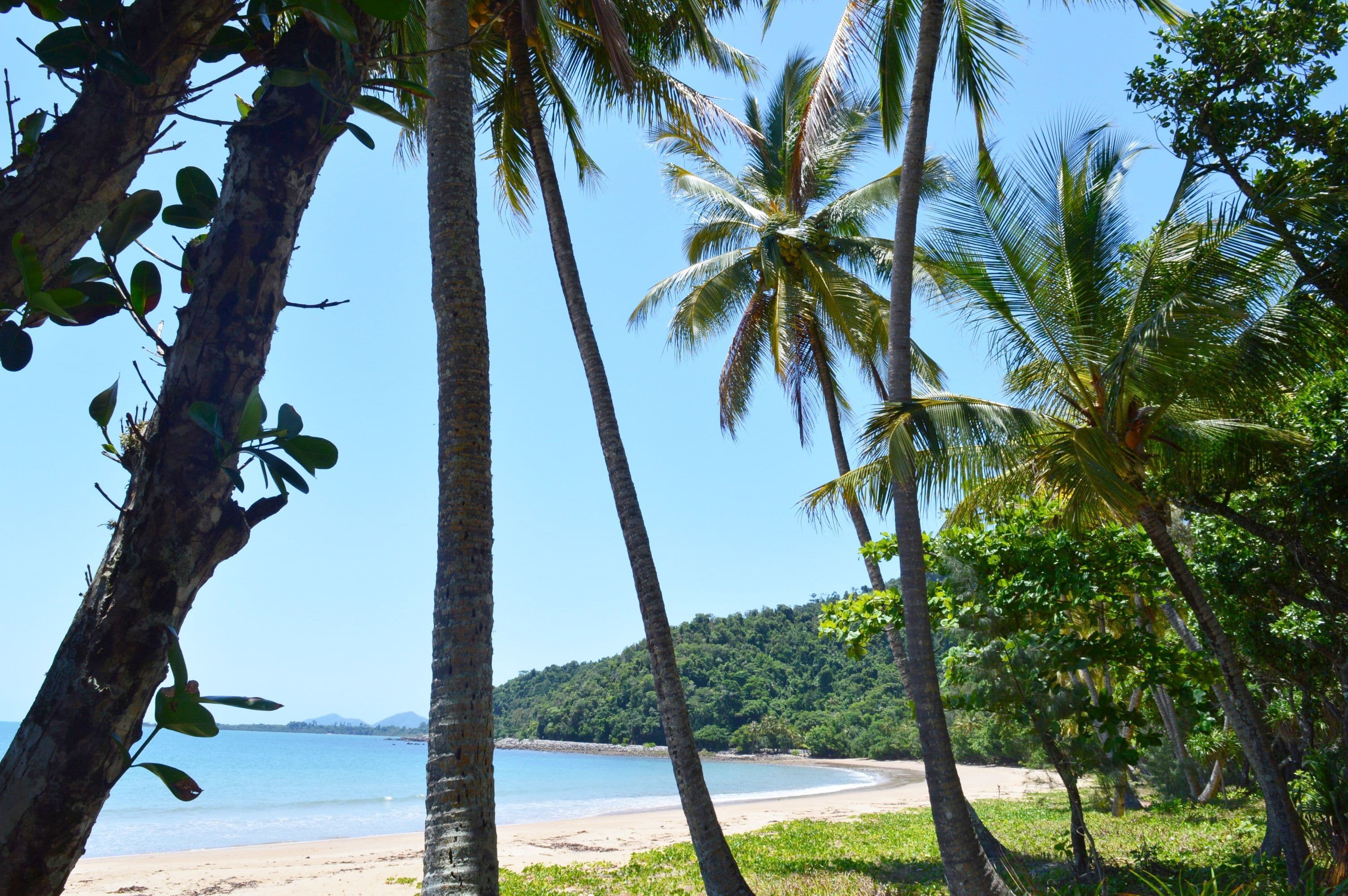 63 Cutten Street, Bingil Bay QLD 4852, Bingil Bay - Thumbnail 8