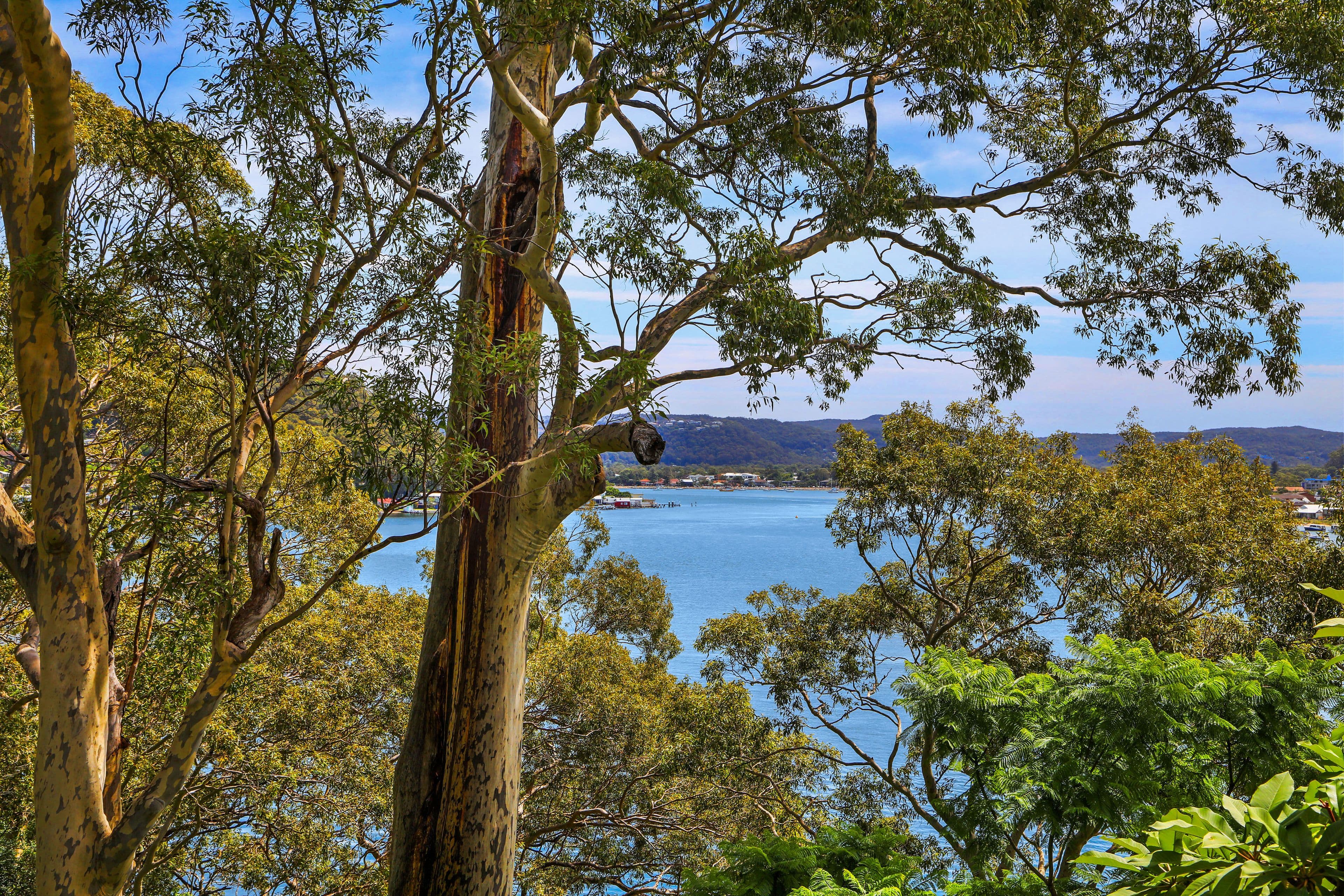103 Heath Road, Pretty Beach NSW 2257, Pretty Beach - Thumbnail 2
