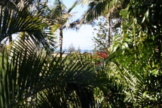 5 Cormorant Crescent, PEREGIAN BEACH QLD 4573, Peregian Beach - Thumbnail 5