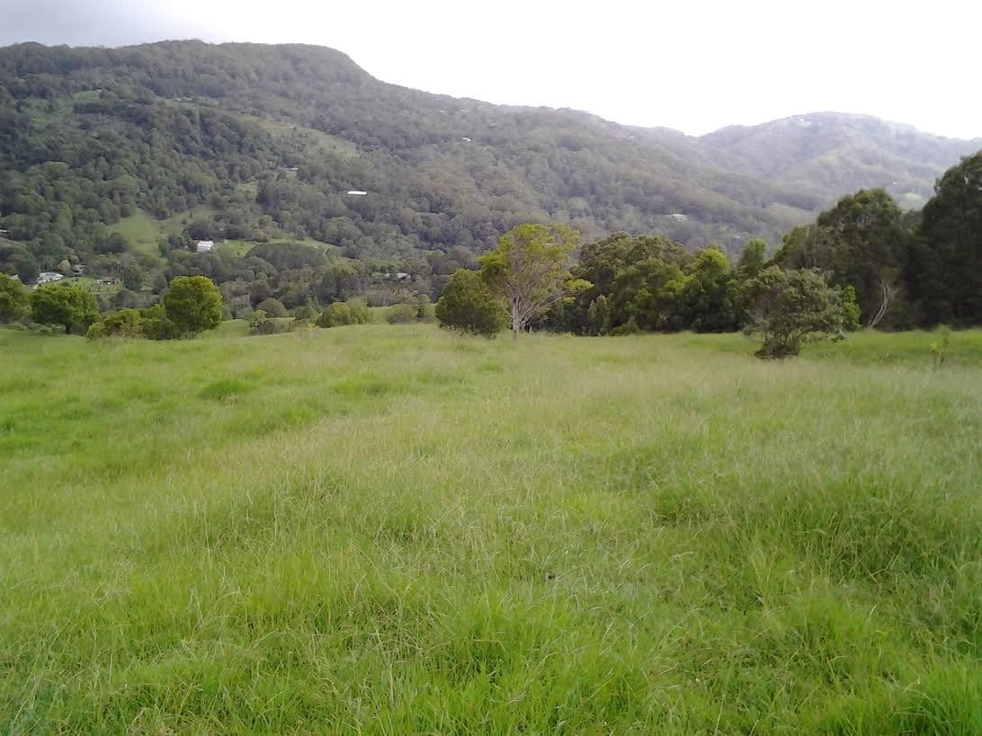 1318 Currumbin Creek Road, Currumbin Valley QLD 4223, Currumbin Valley - Thumbnail 6