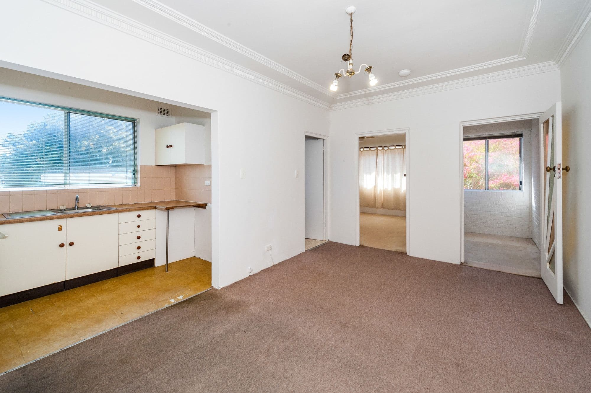 1099 Botany Road, Mascot NSW 2020, Mascot - Thumbnail 2