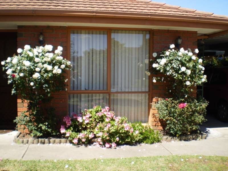 5 MILNER Court, CRANBOURNE VIC 3977, Cranbourne - Image 1