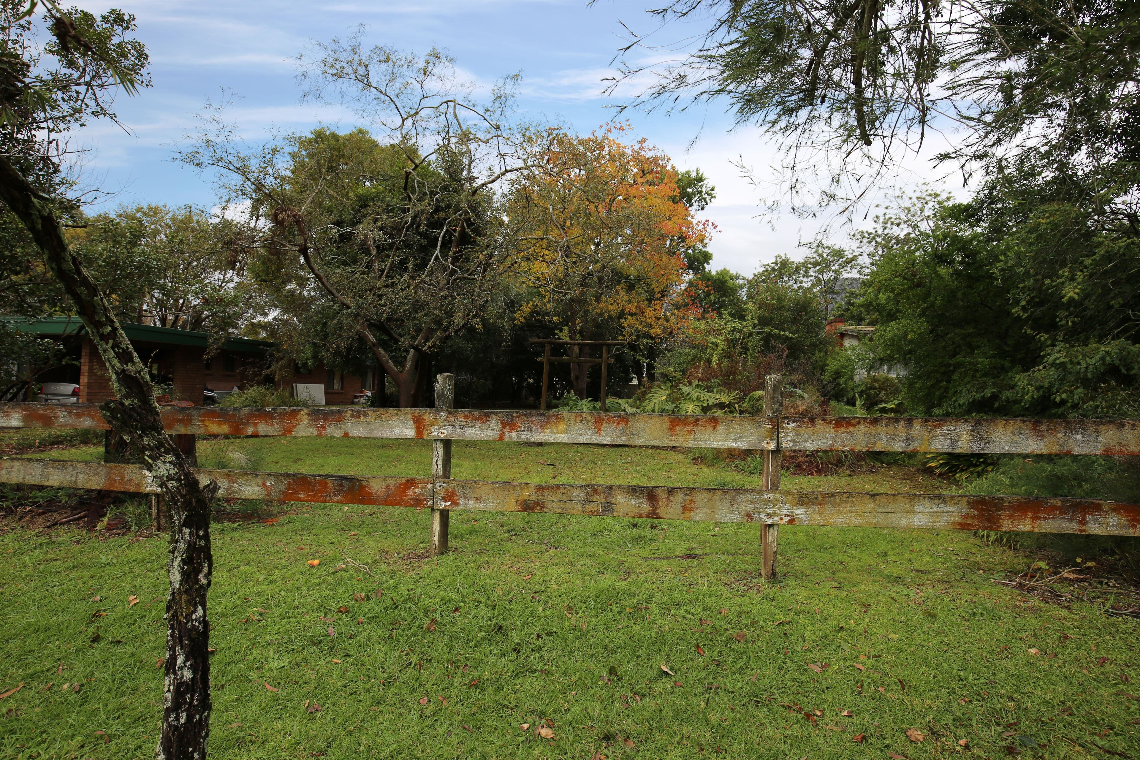 76 Main Road, Cambewarra NSW 2540, Cambewarra Village - Thumbnail 2