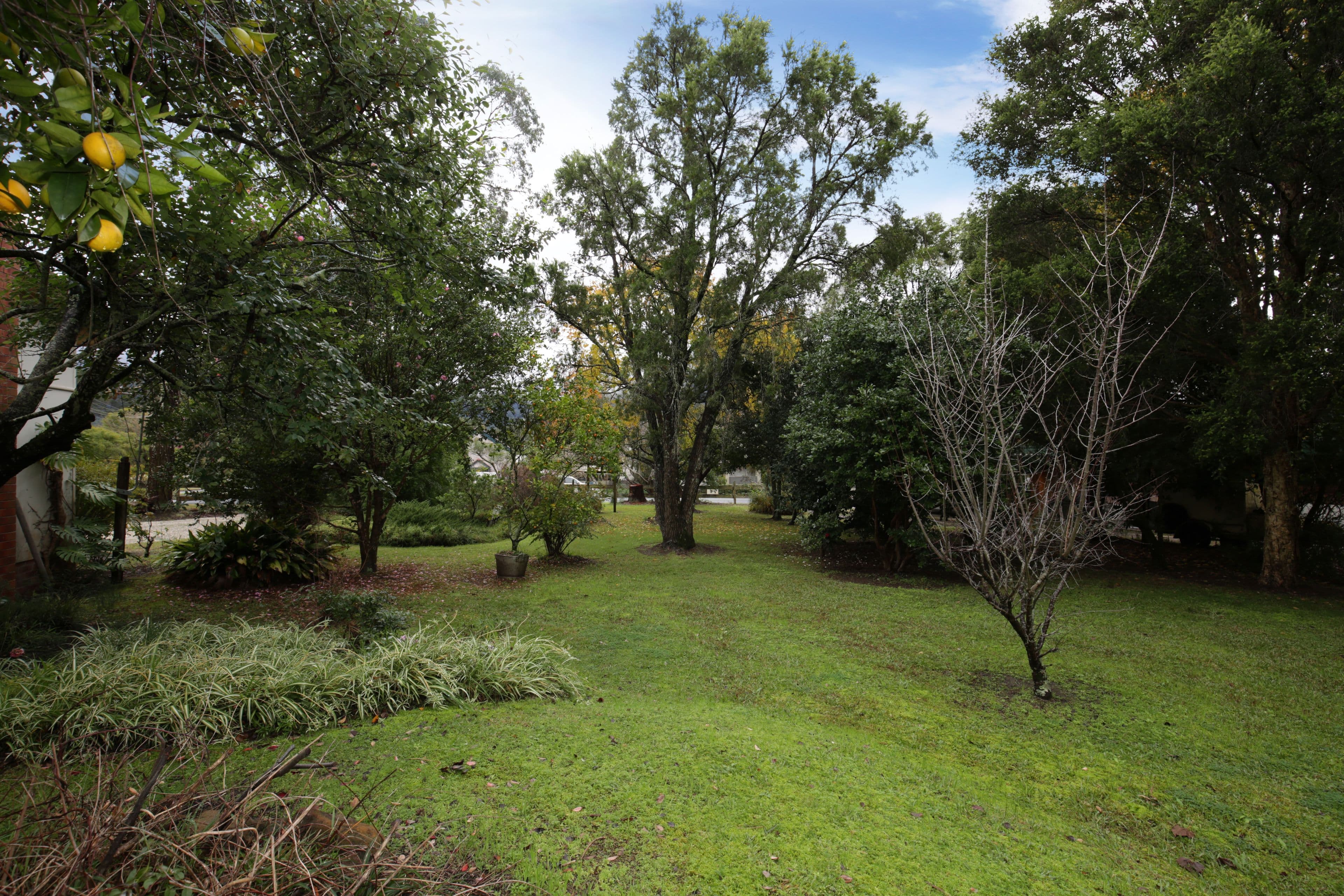 76 Main Road, Cambewarra NSW 2540, Cambewarra Village - Thumbnail 3