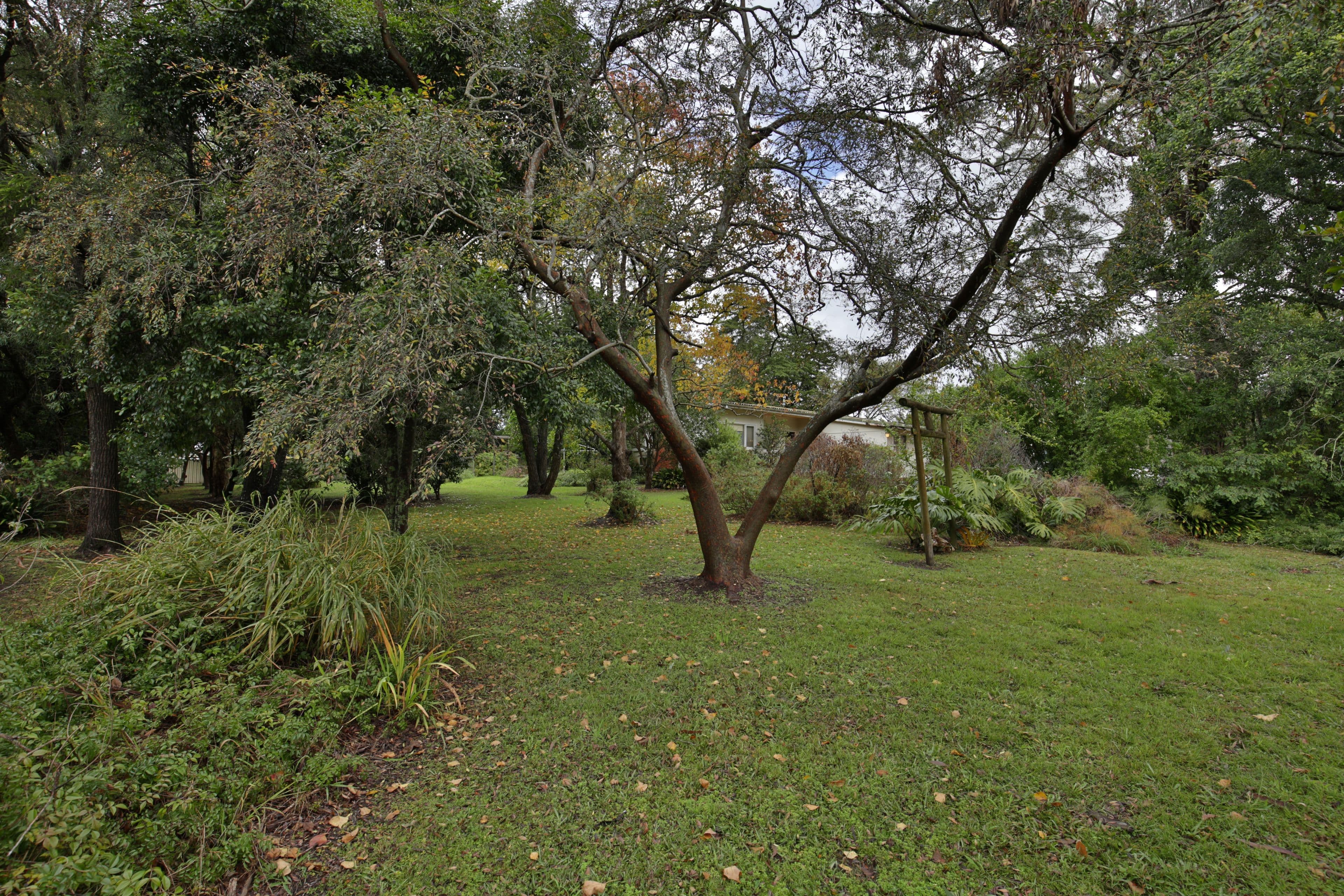 76 Main Road, Cambewarra NSW 2540, Cambewarra Village - Thumbnail 4