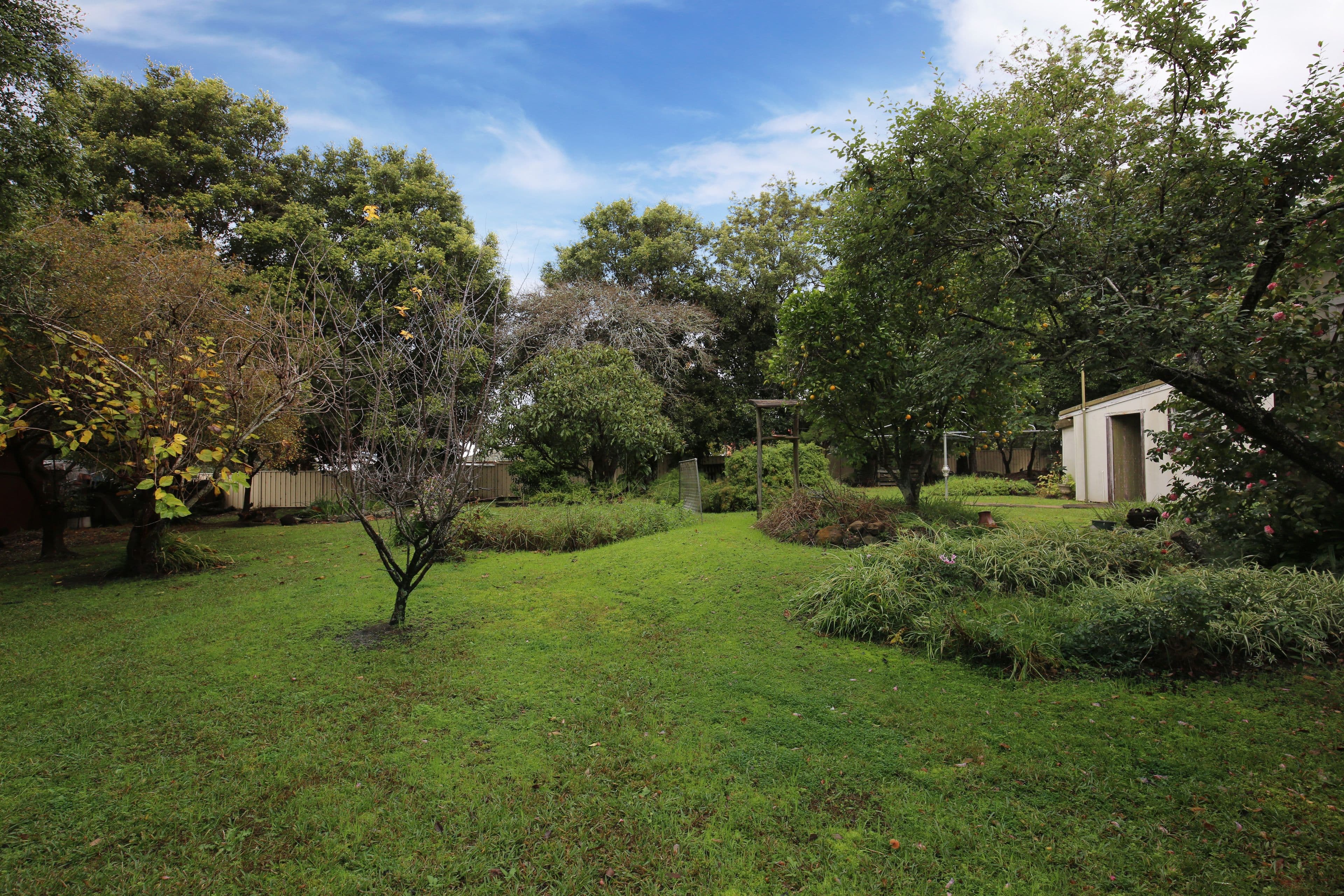 76 Main Road, Cambewarra NSW 2540, Cambewarra Village - Thumbnail 5