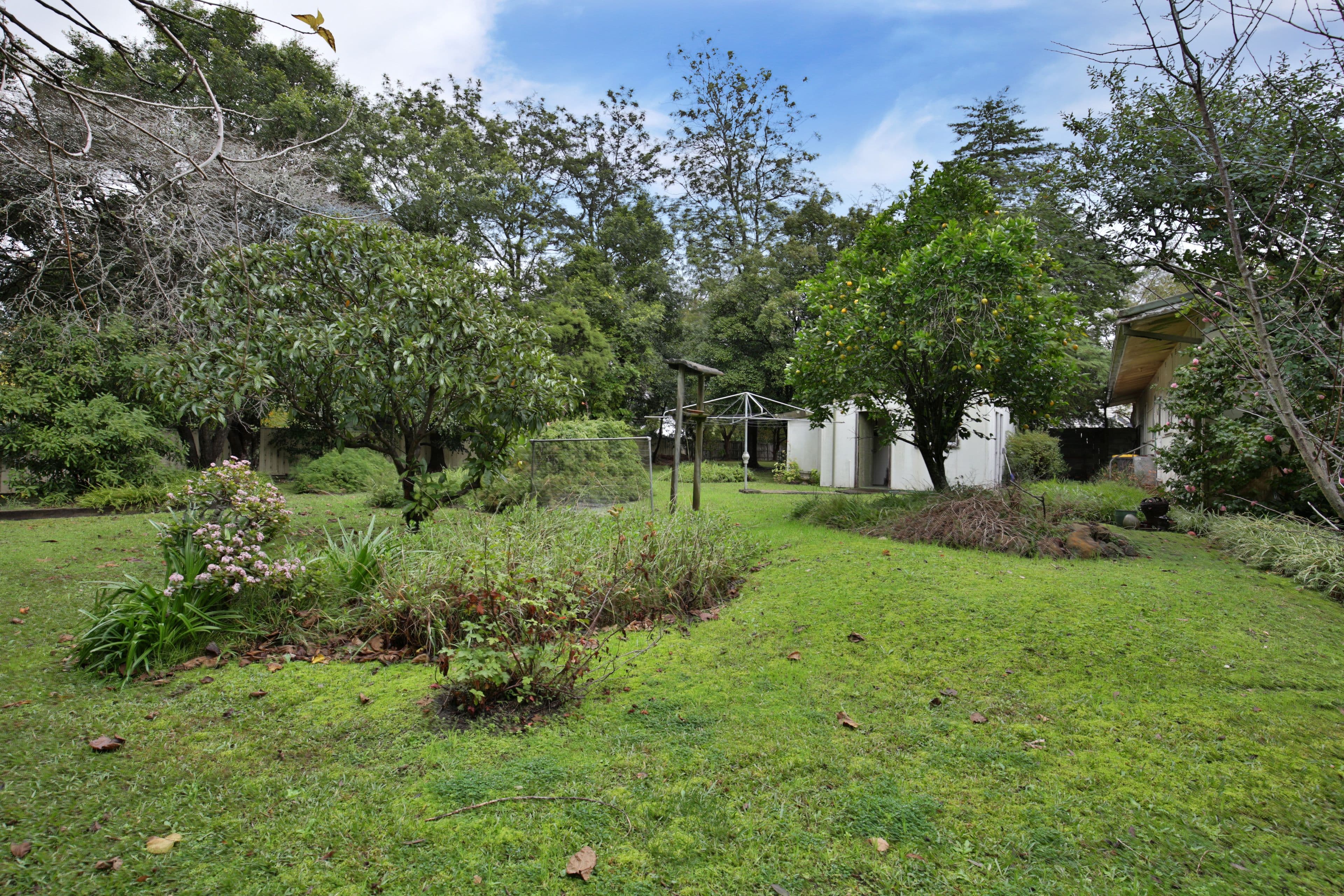 76 Main Road, Cambewarra NSW 2540, Cambewarra Village - Thumbnail 6