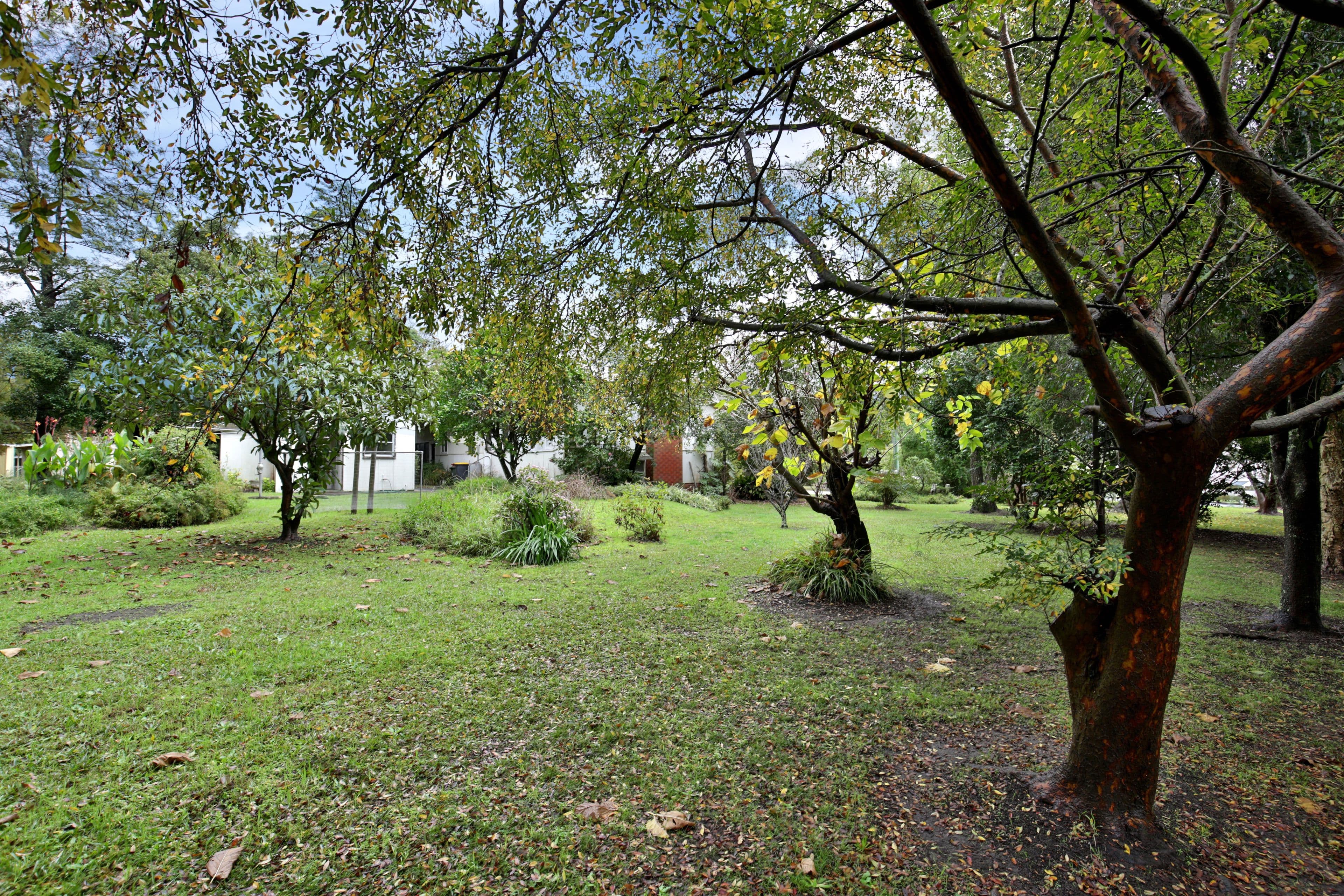 76 Main Road, Cambewarra NSW 2540, Cambewarra Village - Thumbnail 8