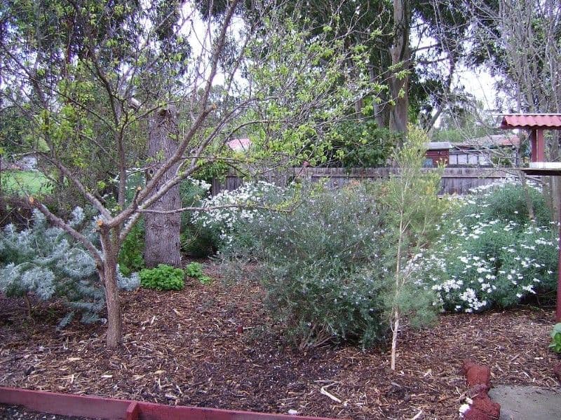 67/1 Hibbertia Street, Mountain Creek, QLD, 4557, Mountain Creek - Thumbnail 5