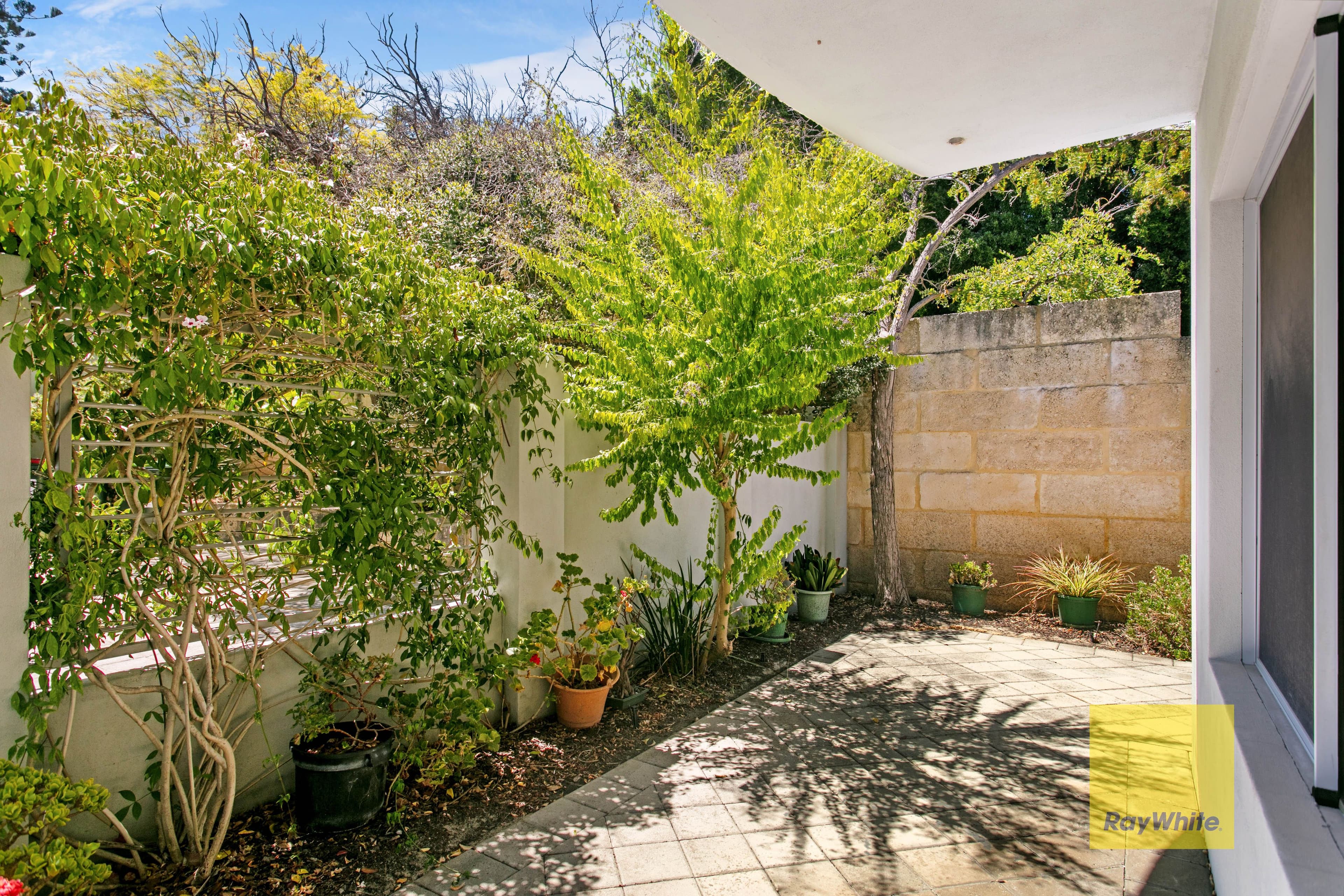 7 Keightley Road, Shenton Park WA 6008, Shenton Park - Thumbnail 3