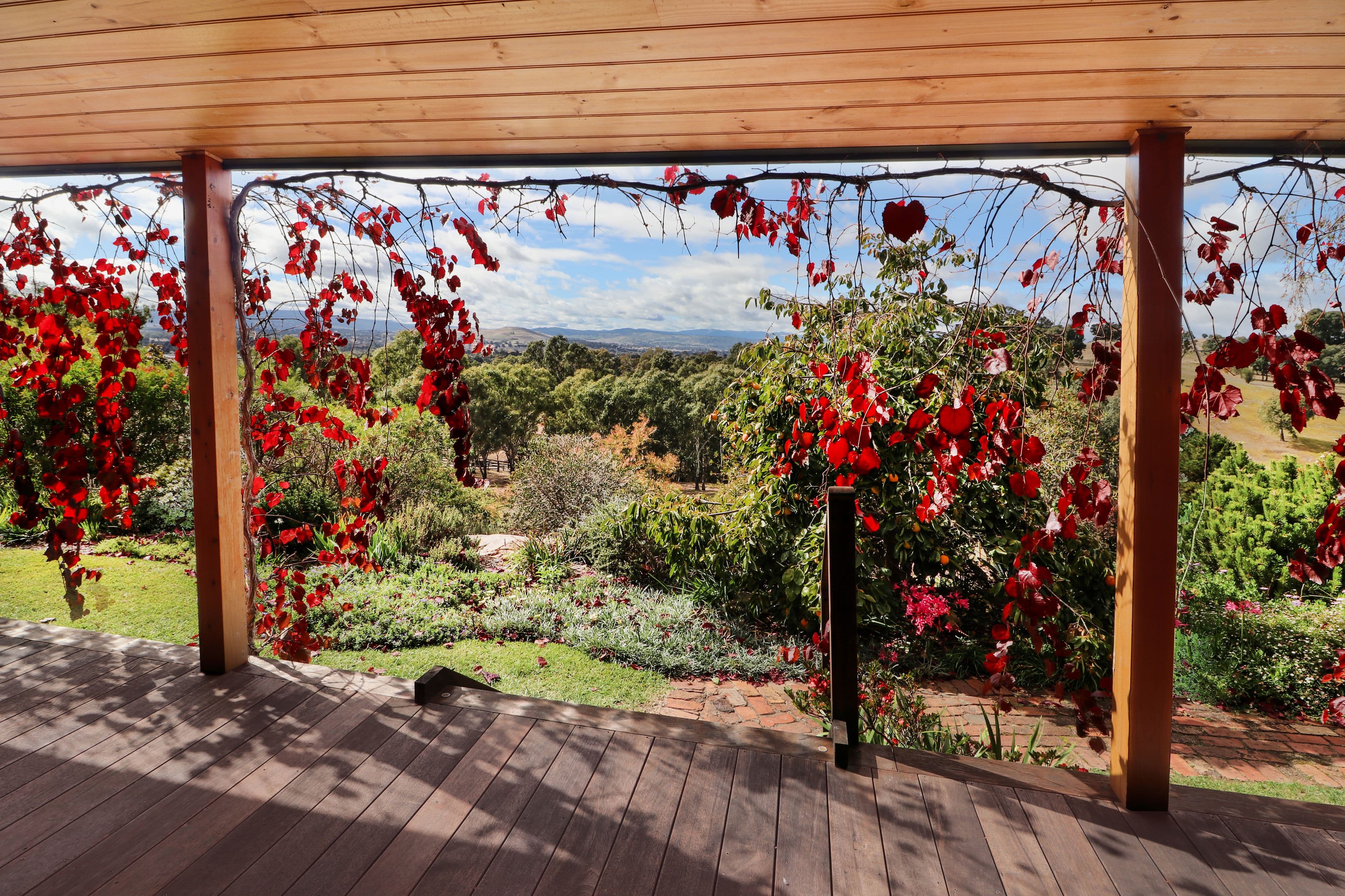 50 Box Court, Mansfield VIC 3722, Mansfield - Thumbnail 6