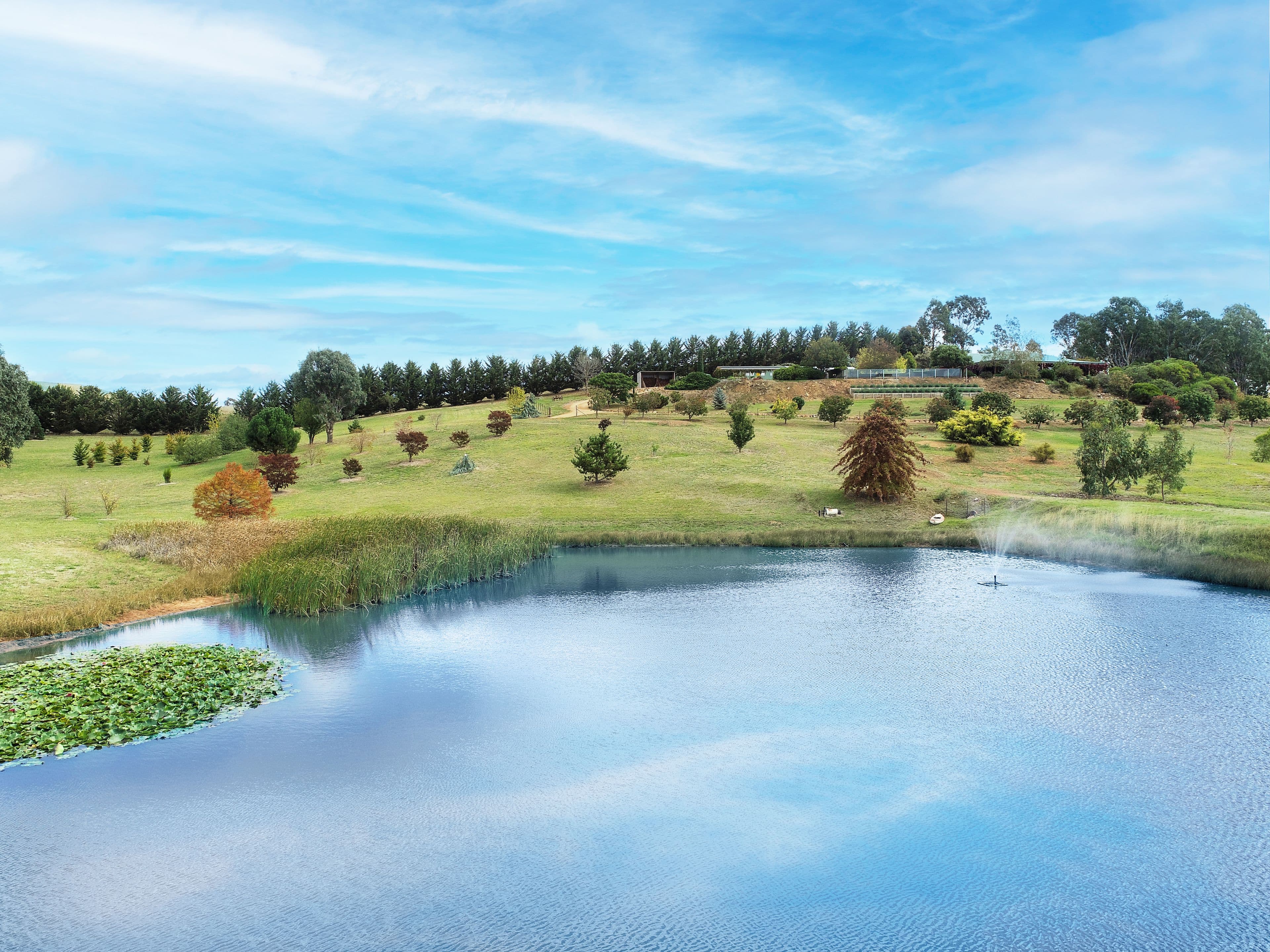 50 Box Court, Mansfield VIC 3722, Mansfield - Thumbnail 7