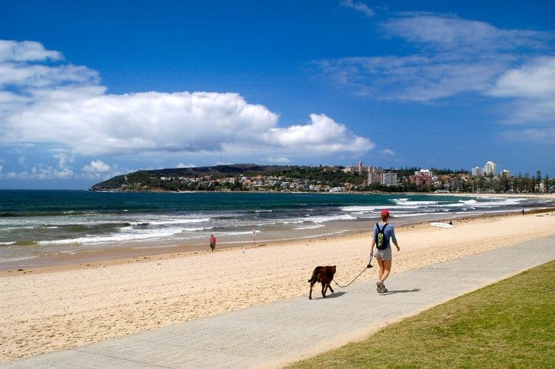 35-37 Quirk Road, Manly Vale NSW 2093, Manly Vale - Thumbnail 7