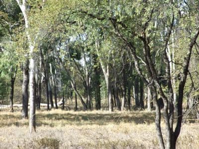Lot 9 Frames Lane, BLACKALL QLD 4472, Blackall - Image 1