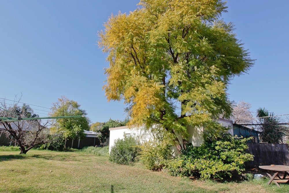 256 Ninth Street, MILDURA VIC 3500, Mildura - Thumbnail 6