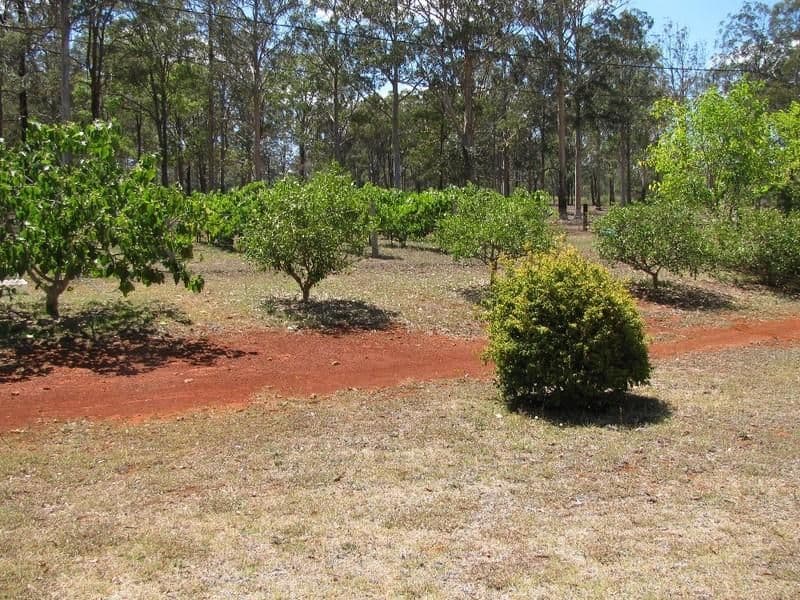 118 Wockner Road, HAMPTON QLD 4352, Hampton - Thumbnail 3