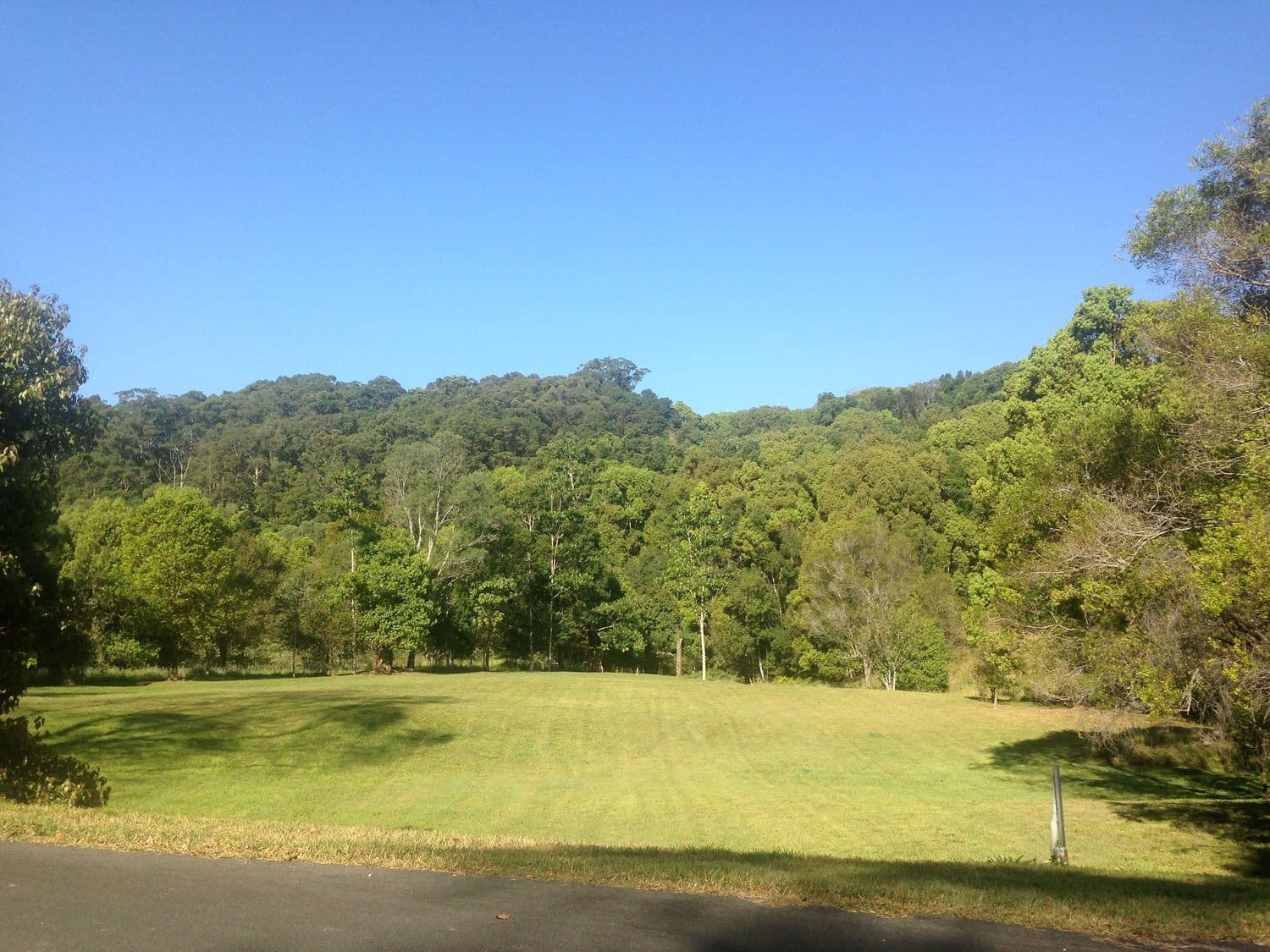 Lot 302 Wongaree Way, CURRUMBIN VALLEY QLD 4223, Currumbin Valley - Image 1