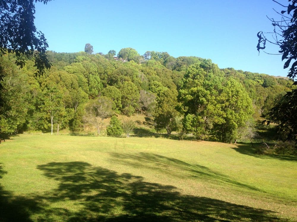Lot 302 Wongaree Way, CURRUMBIN VALLEY QLD 4223, Currumbin Valley - Thumbnail 2