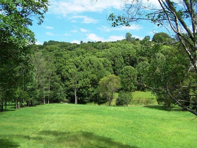 Lot 302 Wongaree Way, CURRUMBIN VALLEY QLD 4223, Currumbin Valley - Thumbnail 3