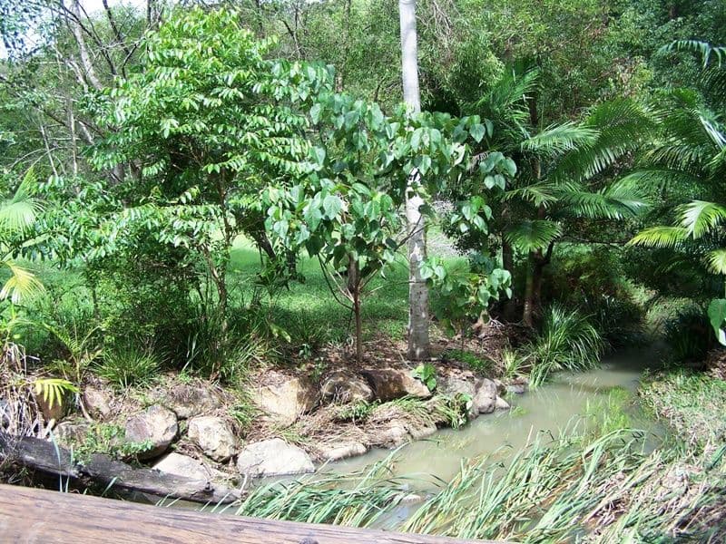Lot 302 Wongaree Way, CURRUMBIN VALLEY QLD 4223, Currumbin Valley - Thumbnail 4