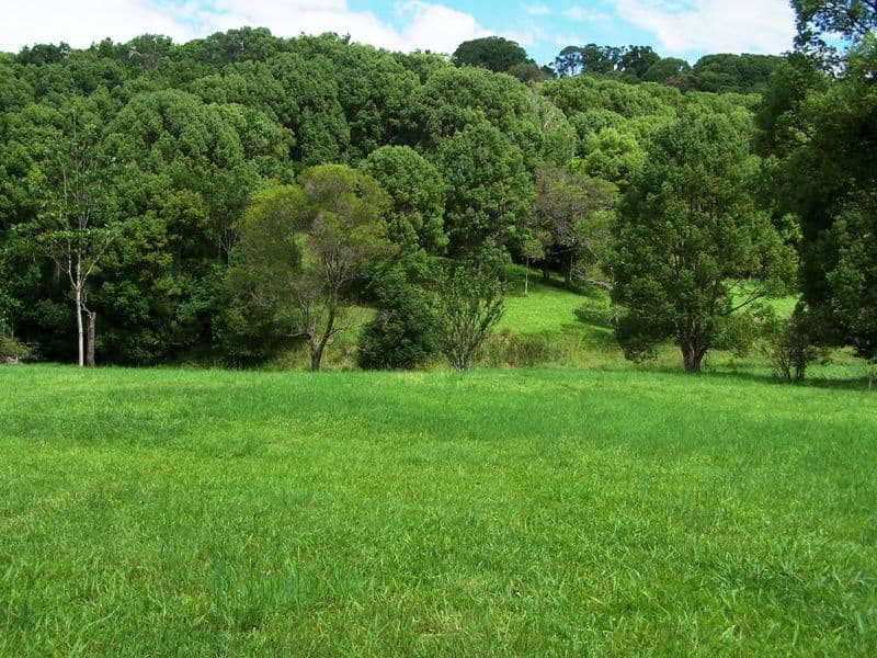 Lot 302 Wongaree Way, CURRUMBIN VALLEY QLD 4223, Currumbin Valley - Thumbnail 6