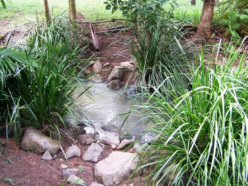 Lot 302 Wongaree Way, CURRUMBIN VALLEY QLD 4223, Currumbin Valley - Thumbnail 7