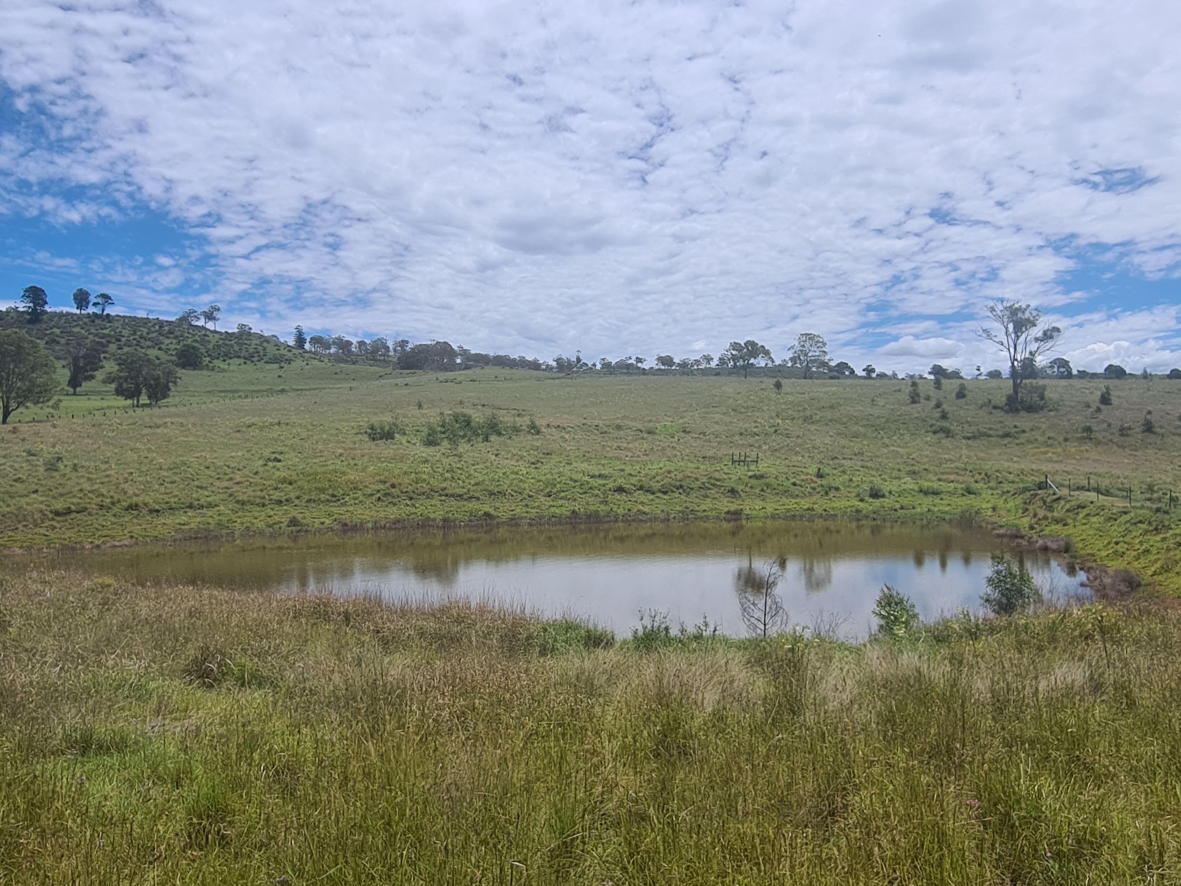 7776 New England Highway, Crows Nest QLD 4355, Crows Nest - Image 1